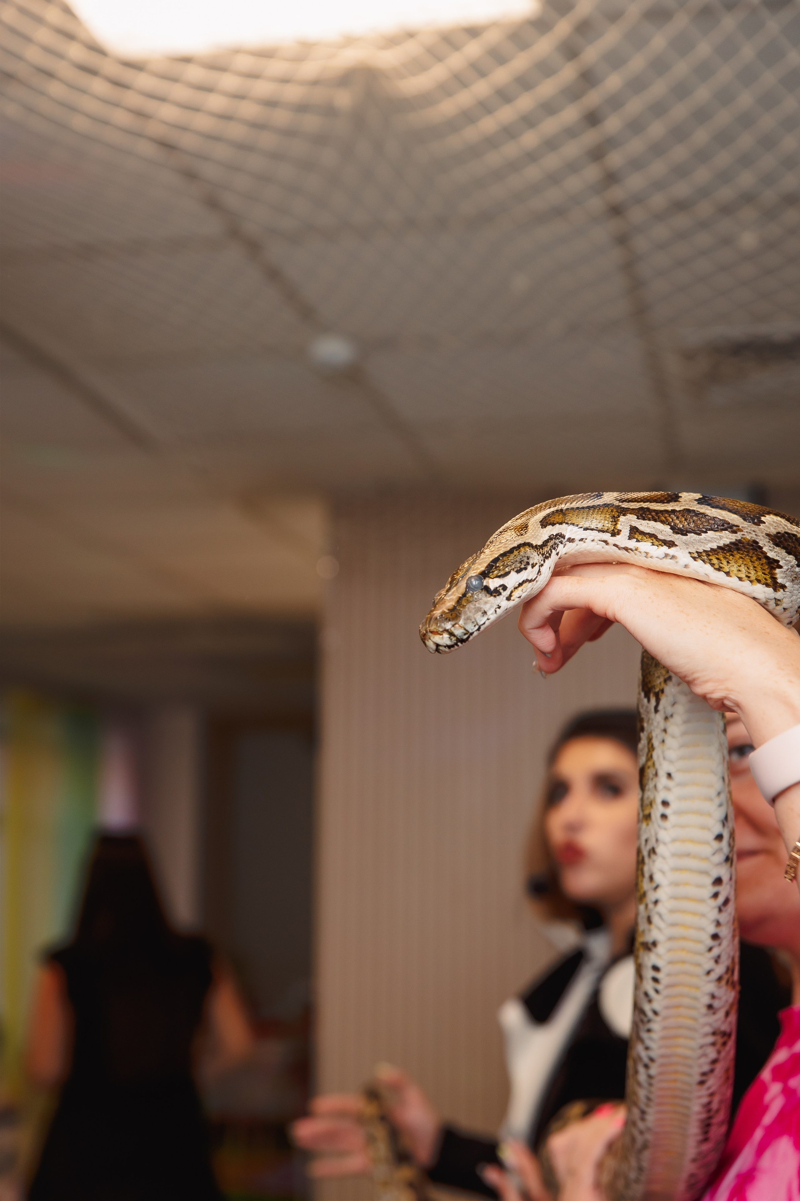 День Рождения. Фотограф в Кронштадте и Санкт-Петербурге Анастасия Коваленко