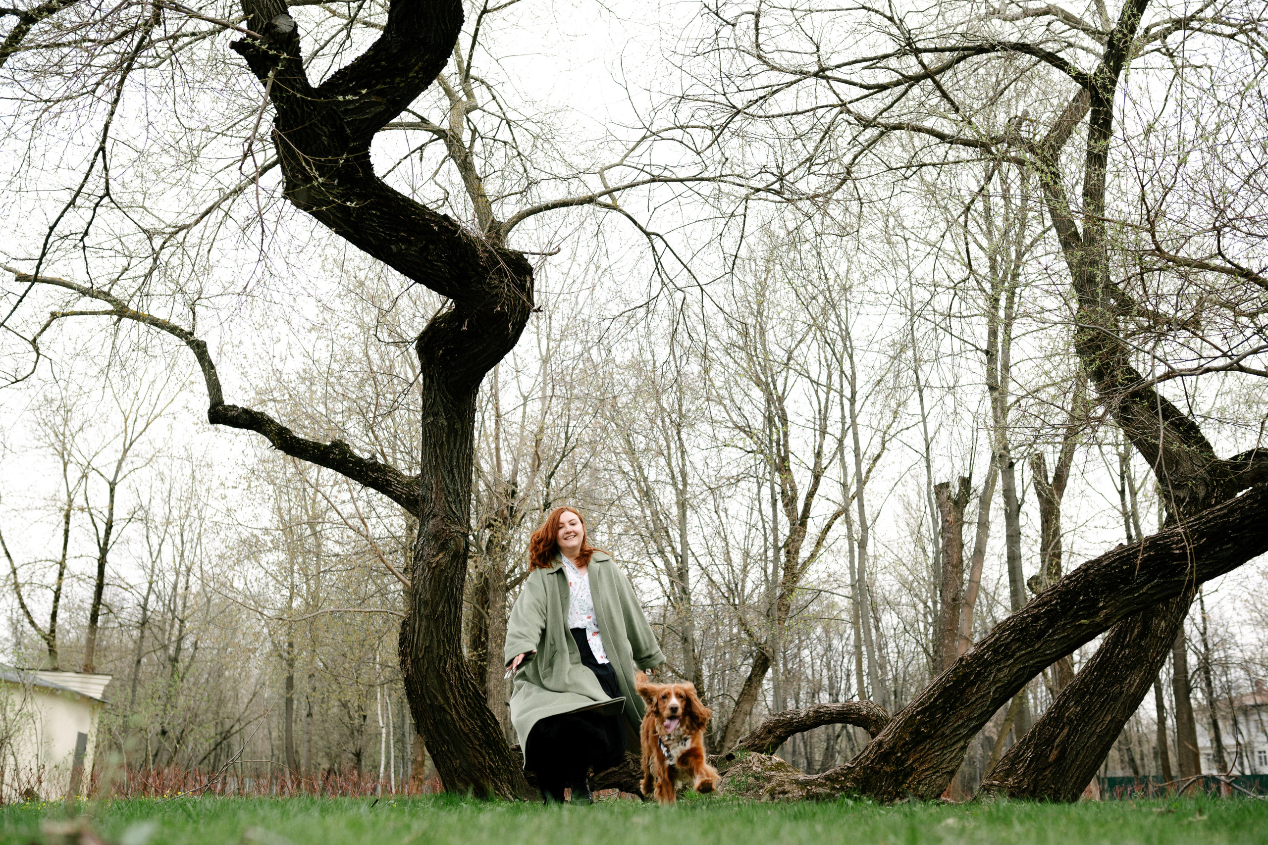 Рыжая команда. Фотограф анималист в Москве Ольга Агушева