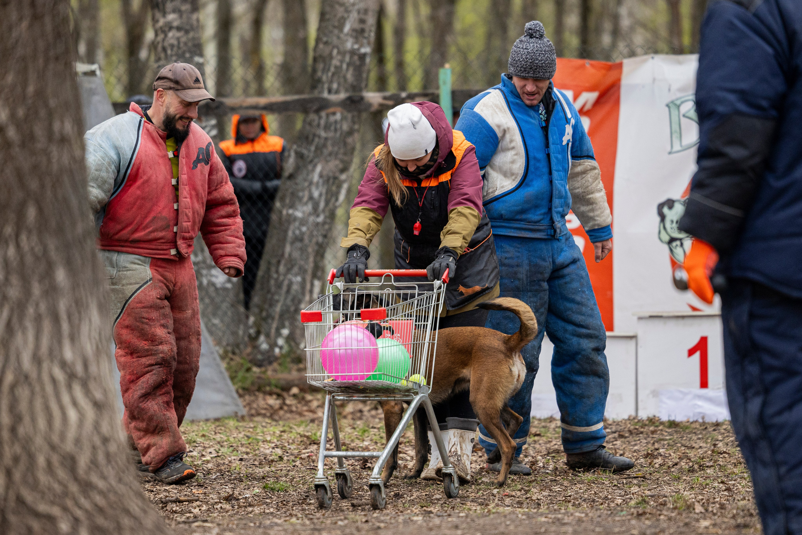Квалификационные состязания по мондьорингу г. Вологда 11.05.24. Фотограф-анималист Анна Маринич