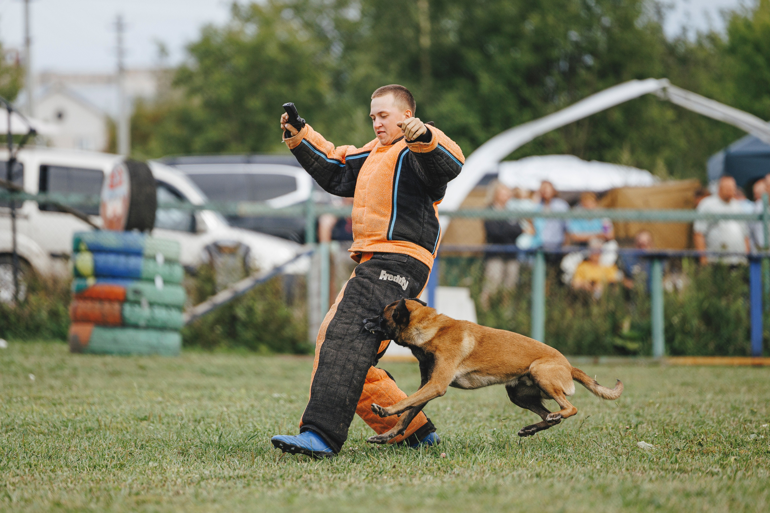 08.08.25-10.08.25 ЧР по мондьорингу г. Вологда. Фотограф-анималист Анна Маринич