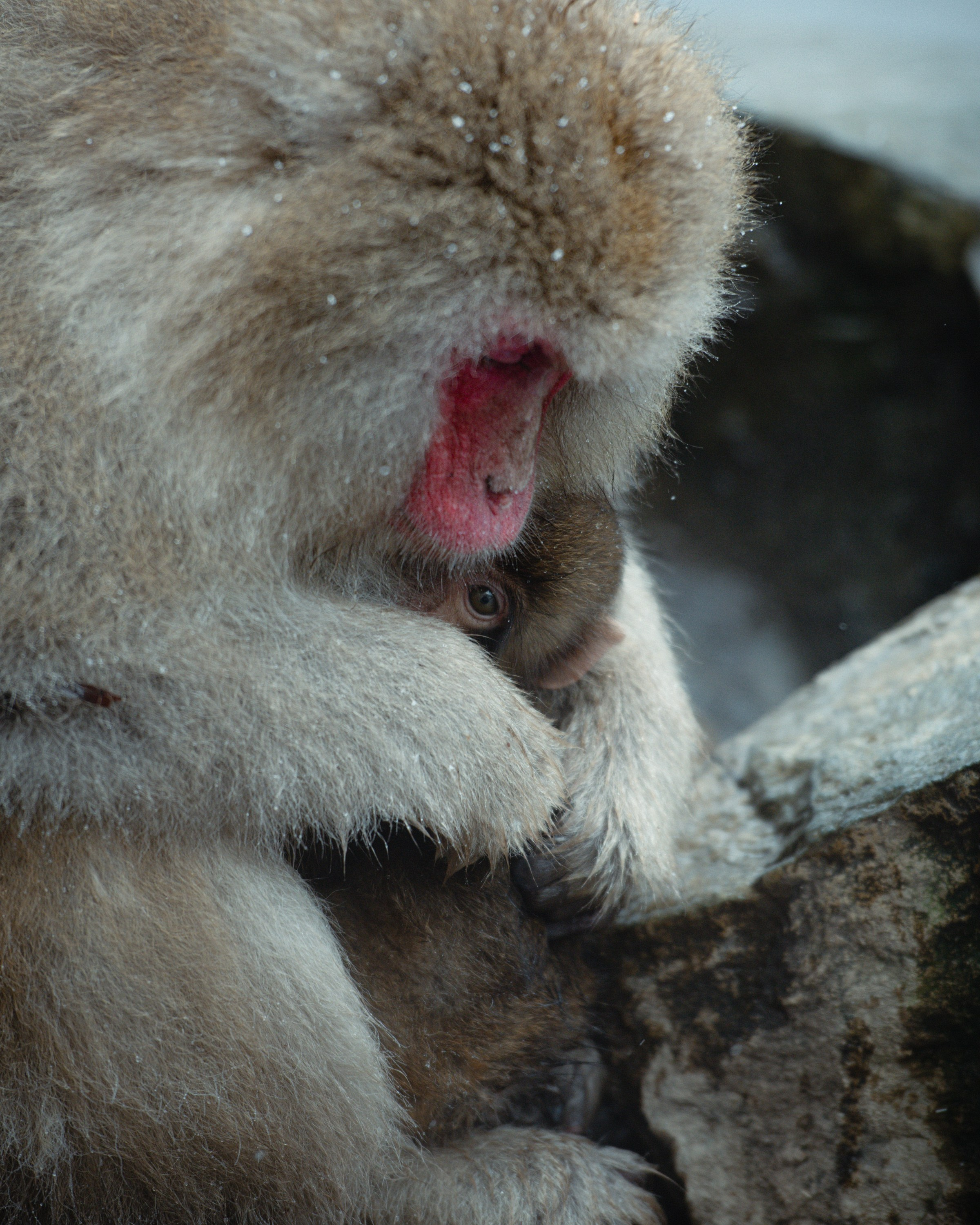 Japan. Photographer in Tokyo Anatolii Ozarto