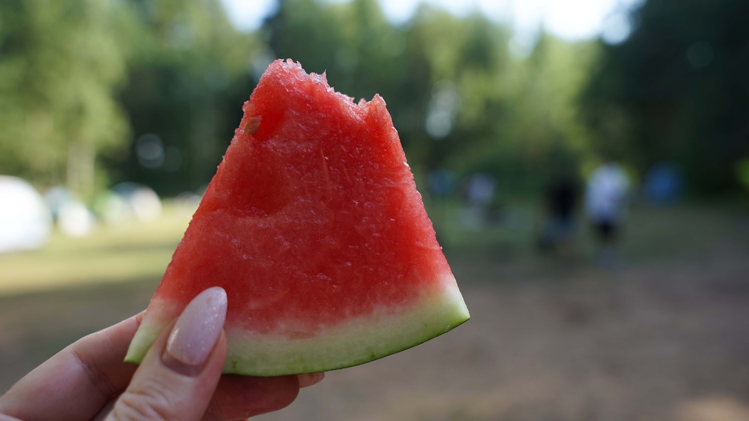 Походная Романтика 46. Солнце Монако. Галерея Фантим