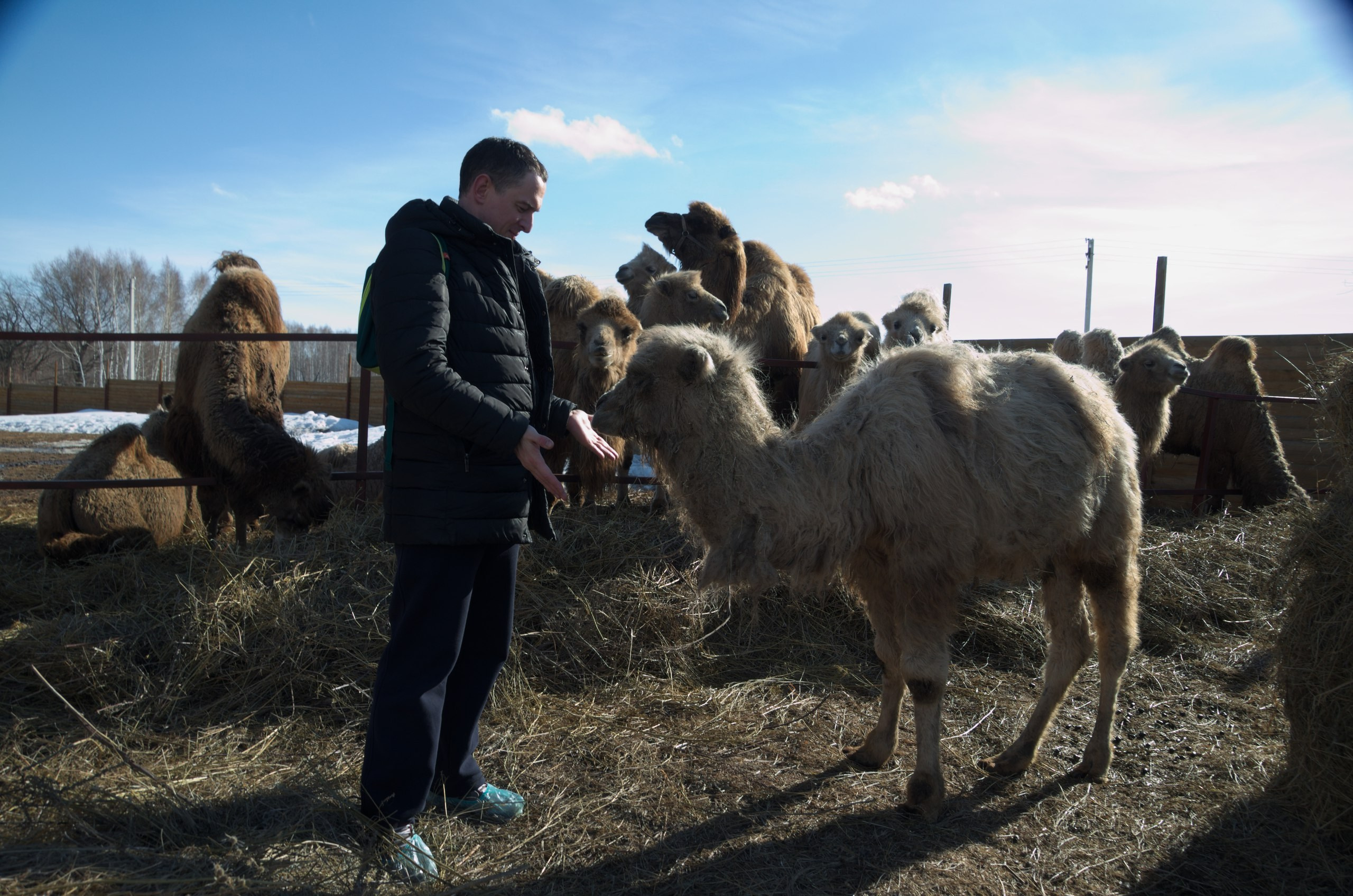 Казань | 24-26.03.2017. Галерея Фантим
