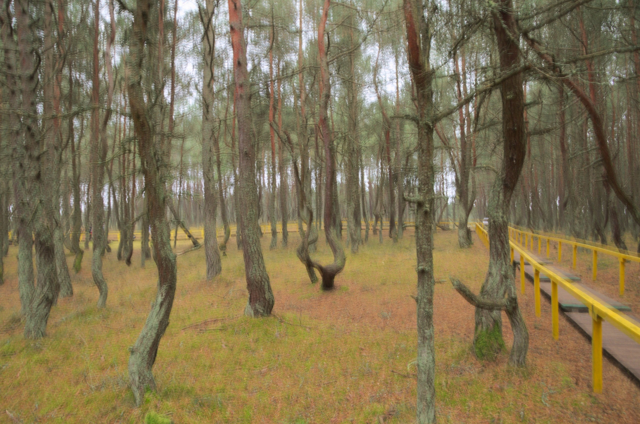 Калининград | 03-05.11.2018. Галерея Фантим