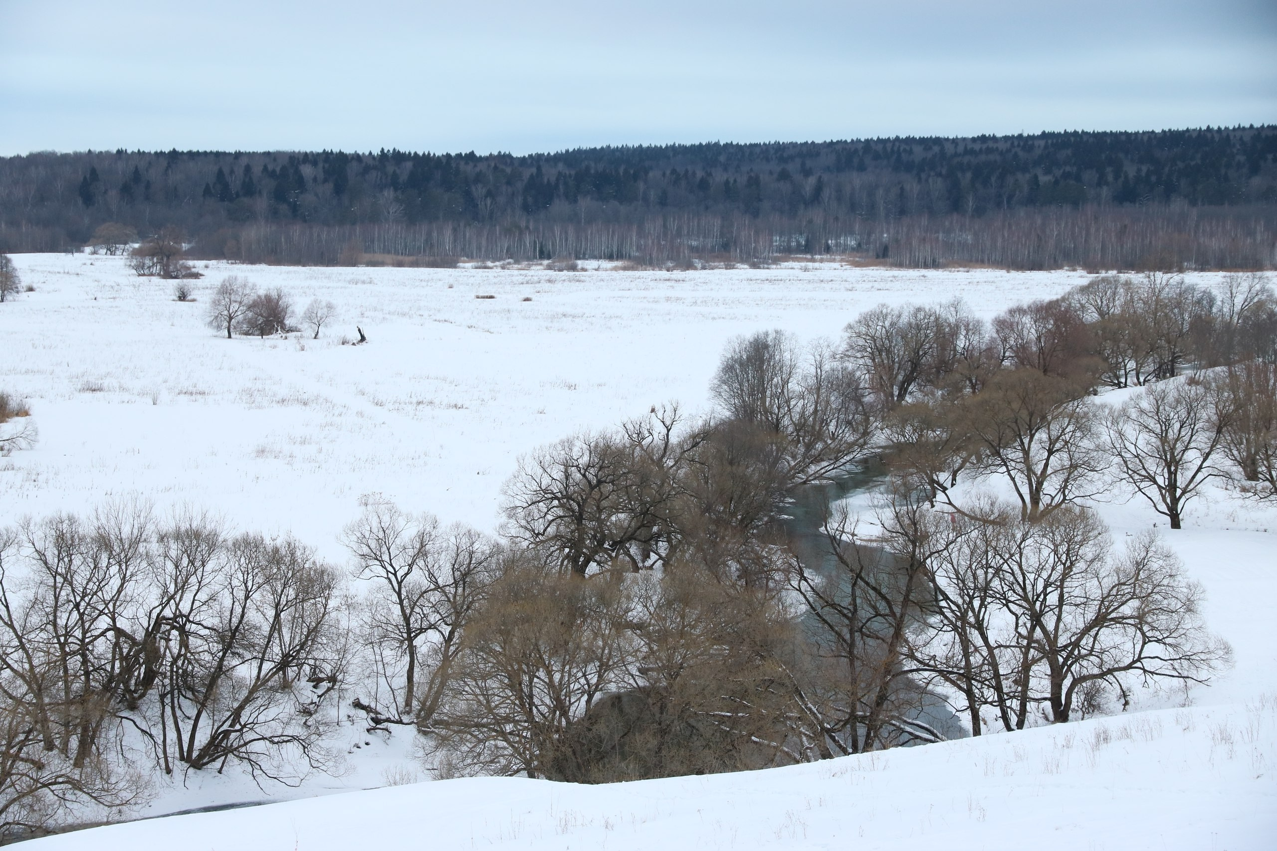 Малоярославец | 11.02.2017. Галерея Фантим