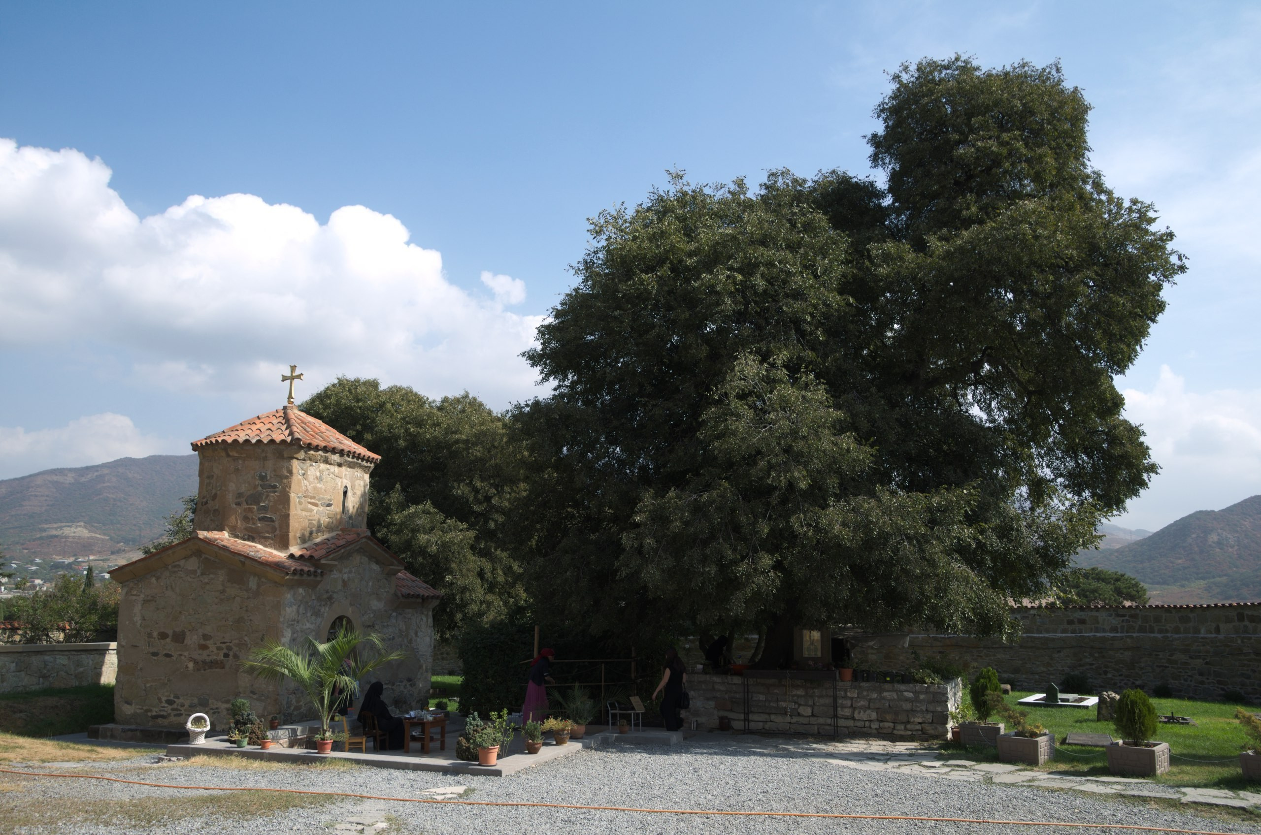 Грузия | 22-25.09.2017. Галерея Фантим