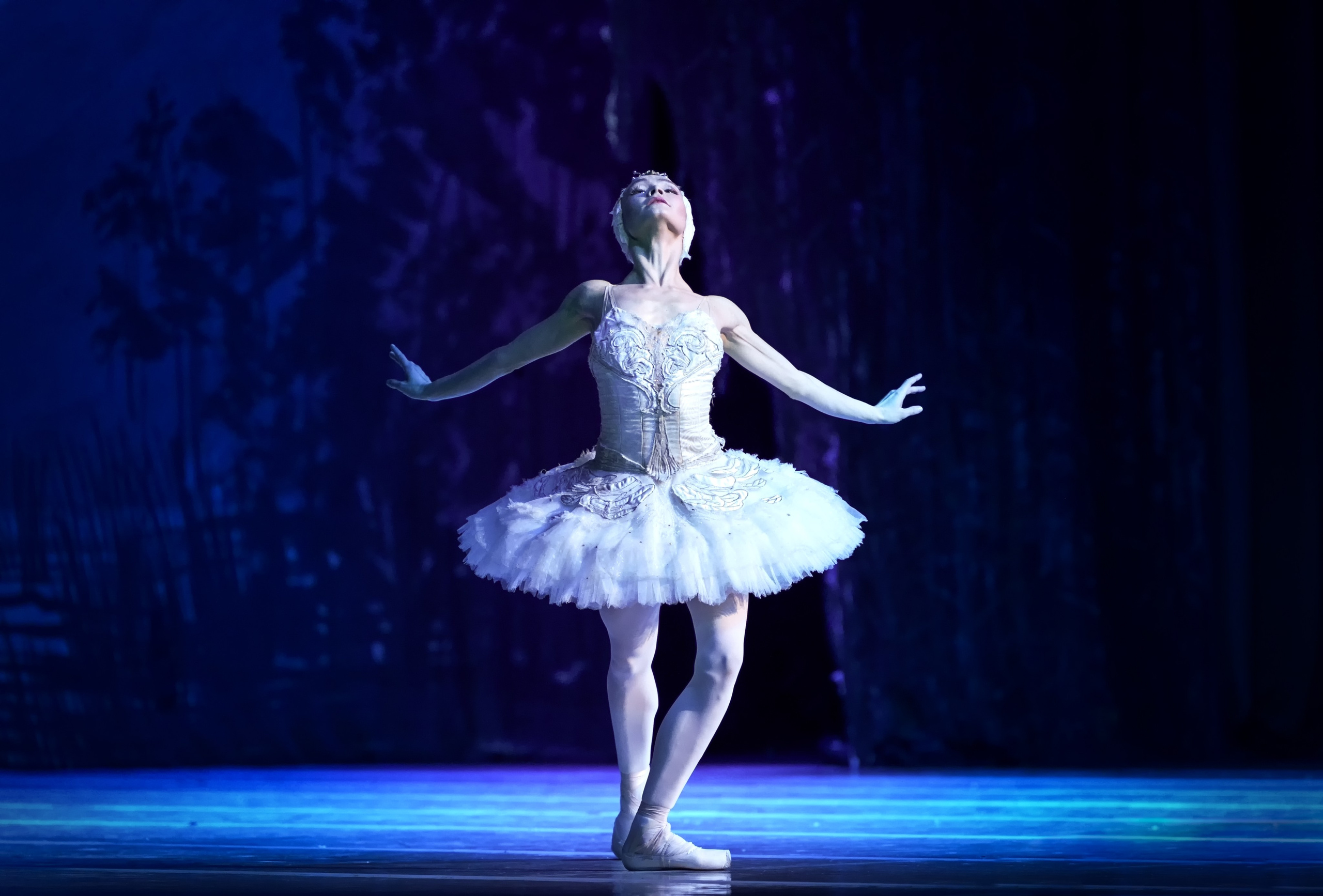 Лебединое озеро. Балет Наталии Касаткиной и Владимира Василёва. Балетный фотограф Москва Майоров Николай