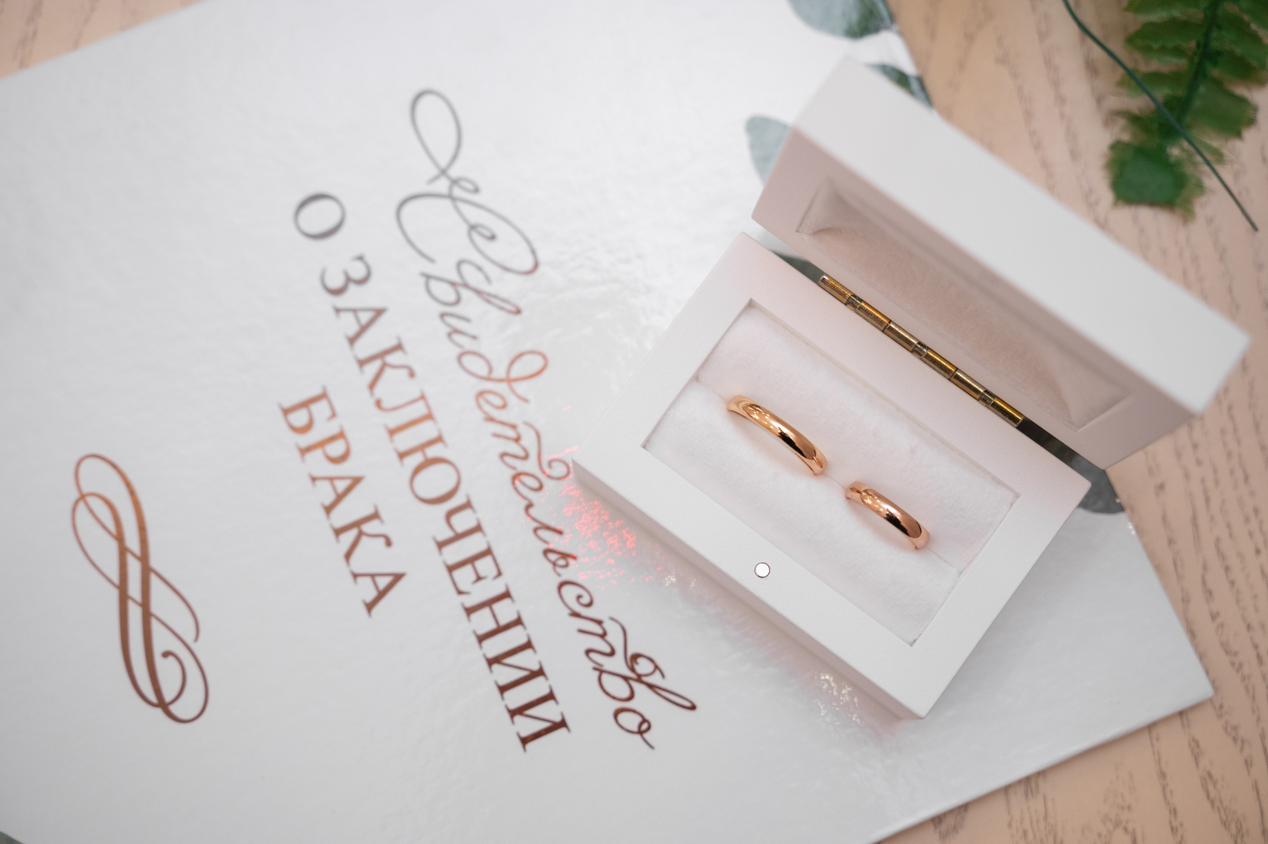 Даниил & Екатерина. Фотограф в Омске Елизавета Кириллова