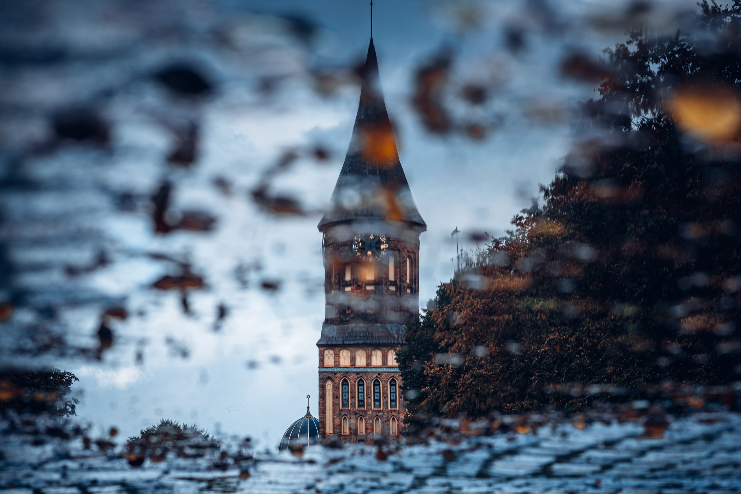 Калининград и его область: через объектив рекламного фотографа из Гуанчжо. Коммерческий и предметный фотограф в Гуанчжоу Коваленко Александр