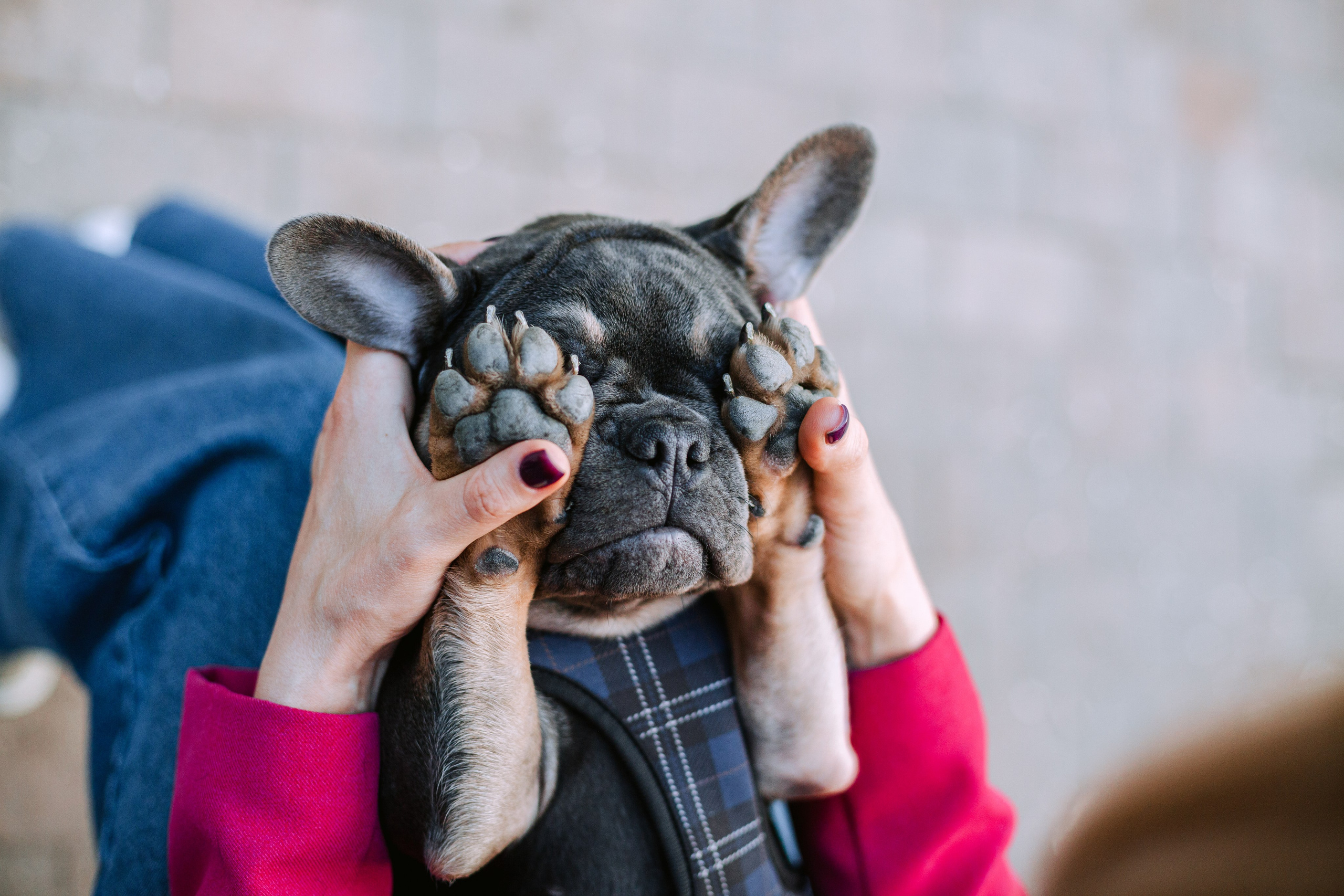 Даша и Мишель. Фотограф-анималист Татьяна Степанова