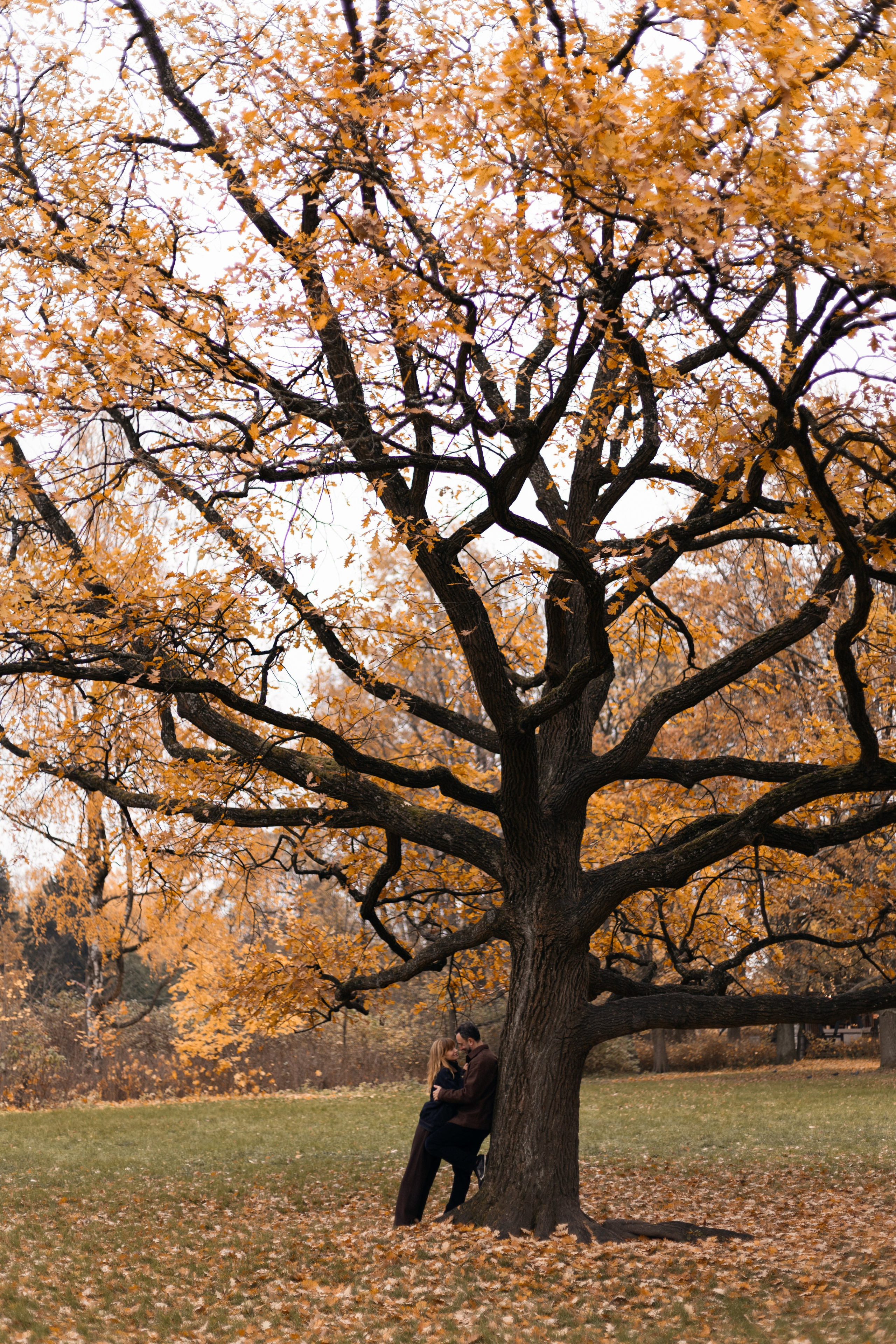 Катя и Карен. Фотограф в Санкт-Петербурге Смирнова Диана