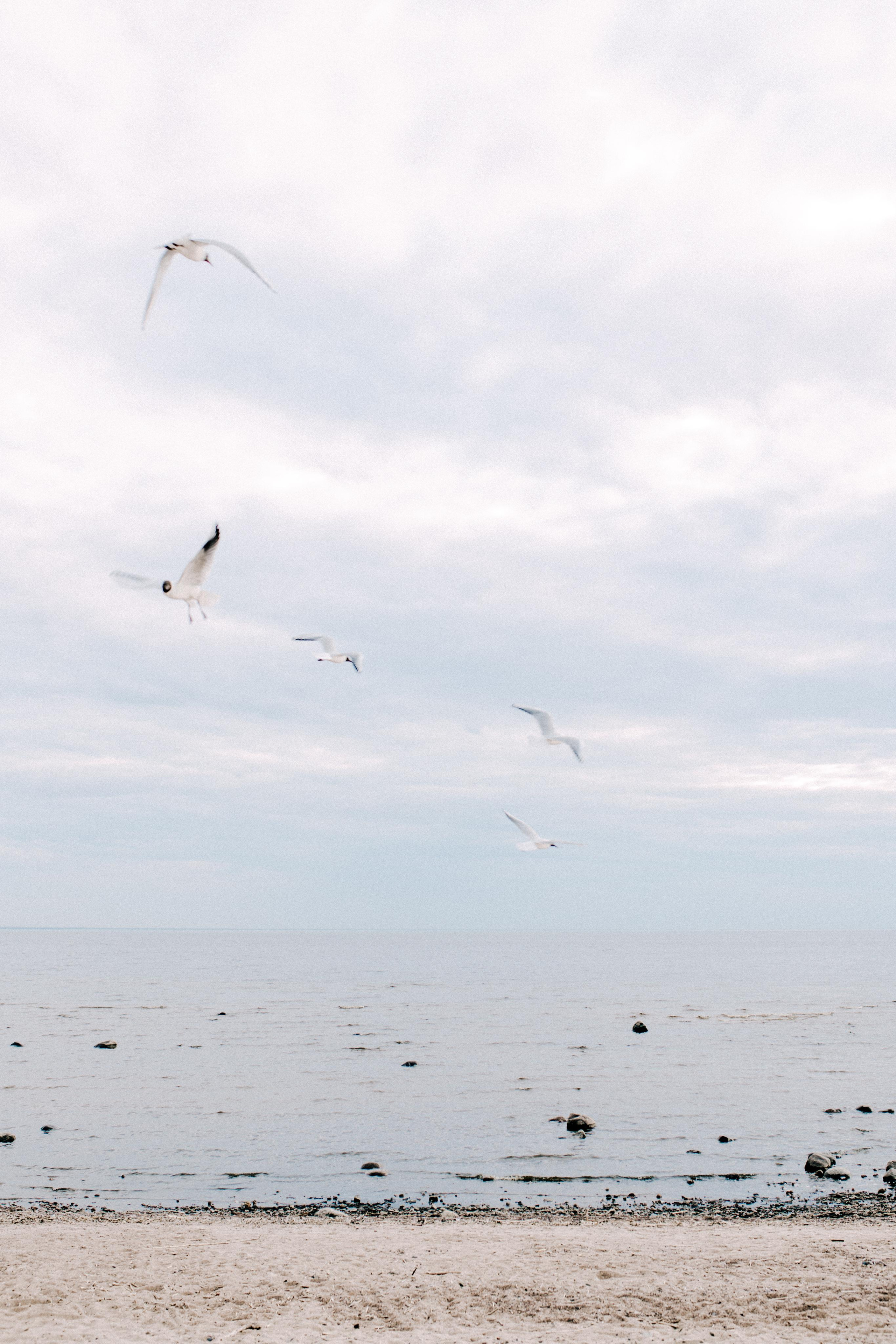 МАРИНА | КОМАРОВО. Фотограф Дарья Николаева