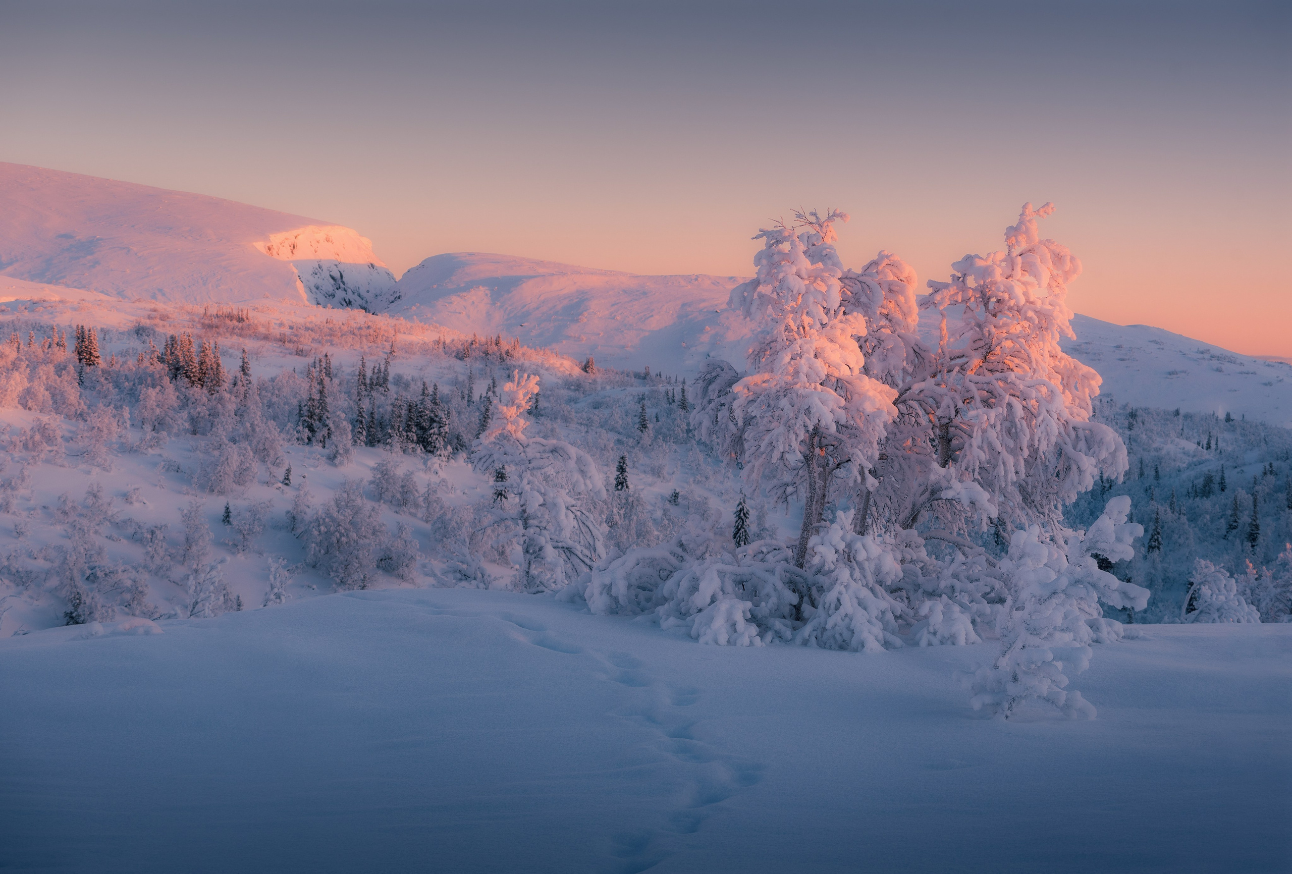 ХИБИНЫ. Пейзажный и тревел-фотограф Алексей Соколенко