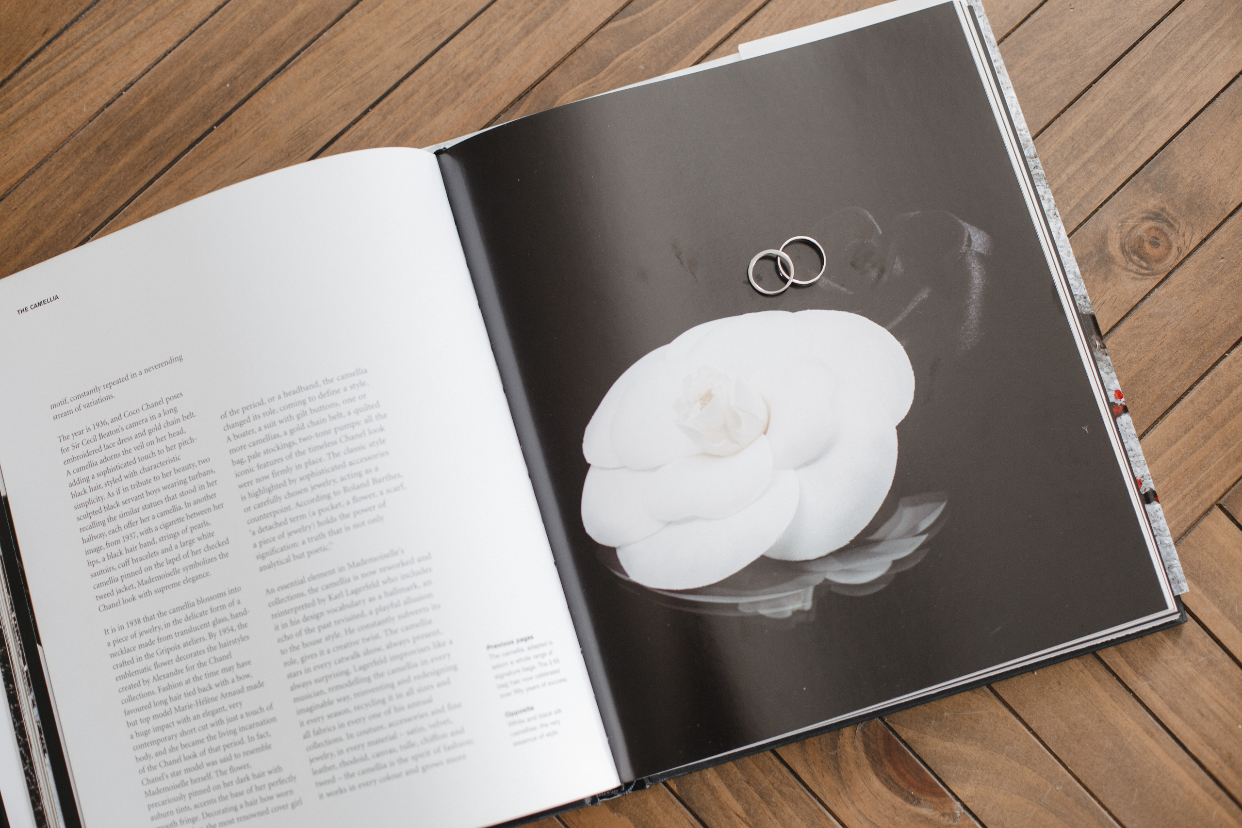 Гуля и Миша. Свадебный фотограф СПБ I Иван Ильин