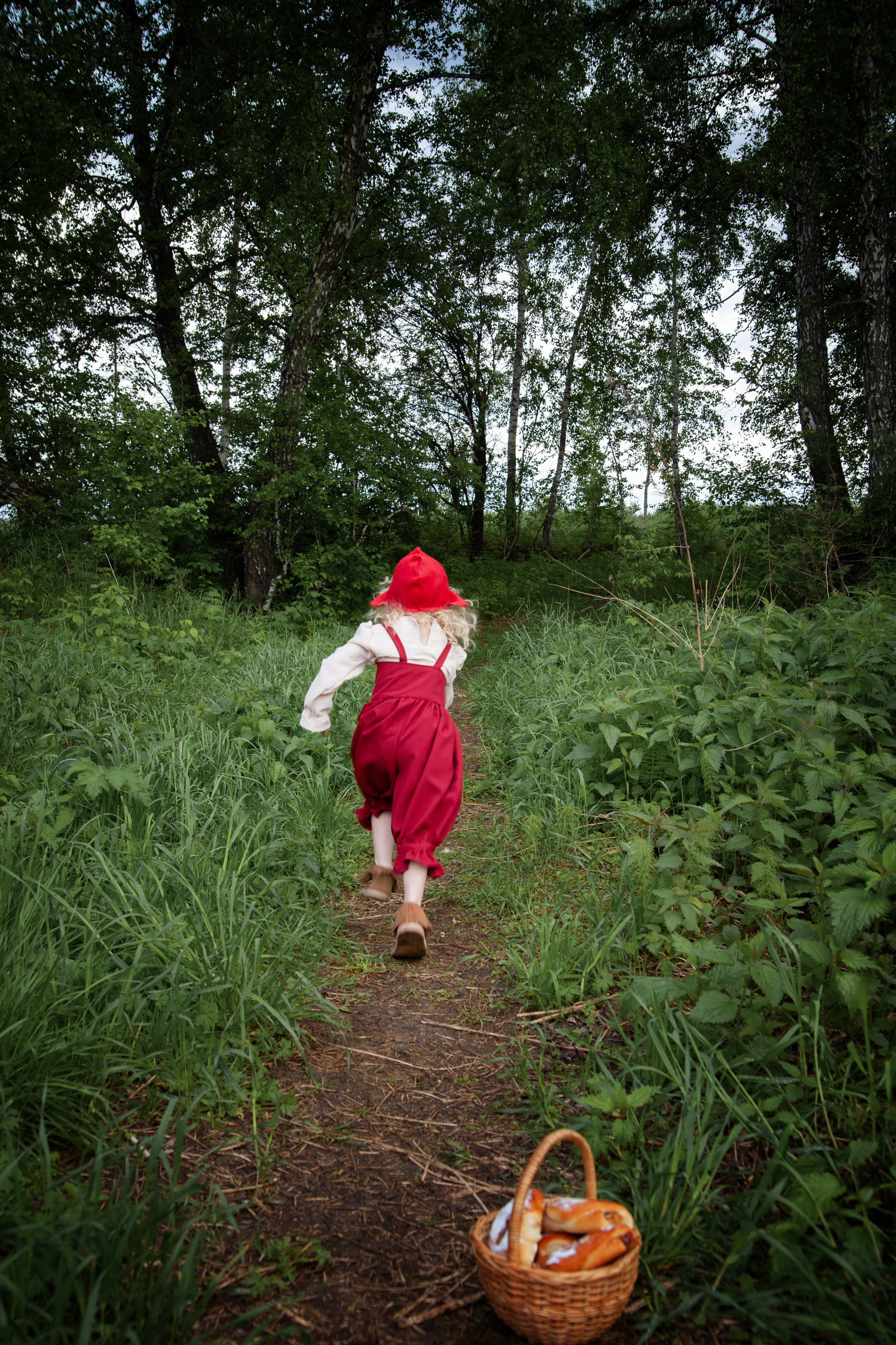 Красная шапочка. Детский и семейный фотограф в Бердске и Новосибирске Дарья Гребнева