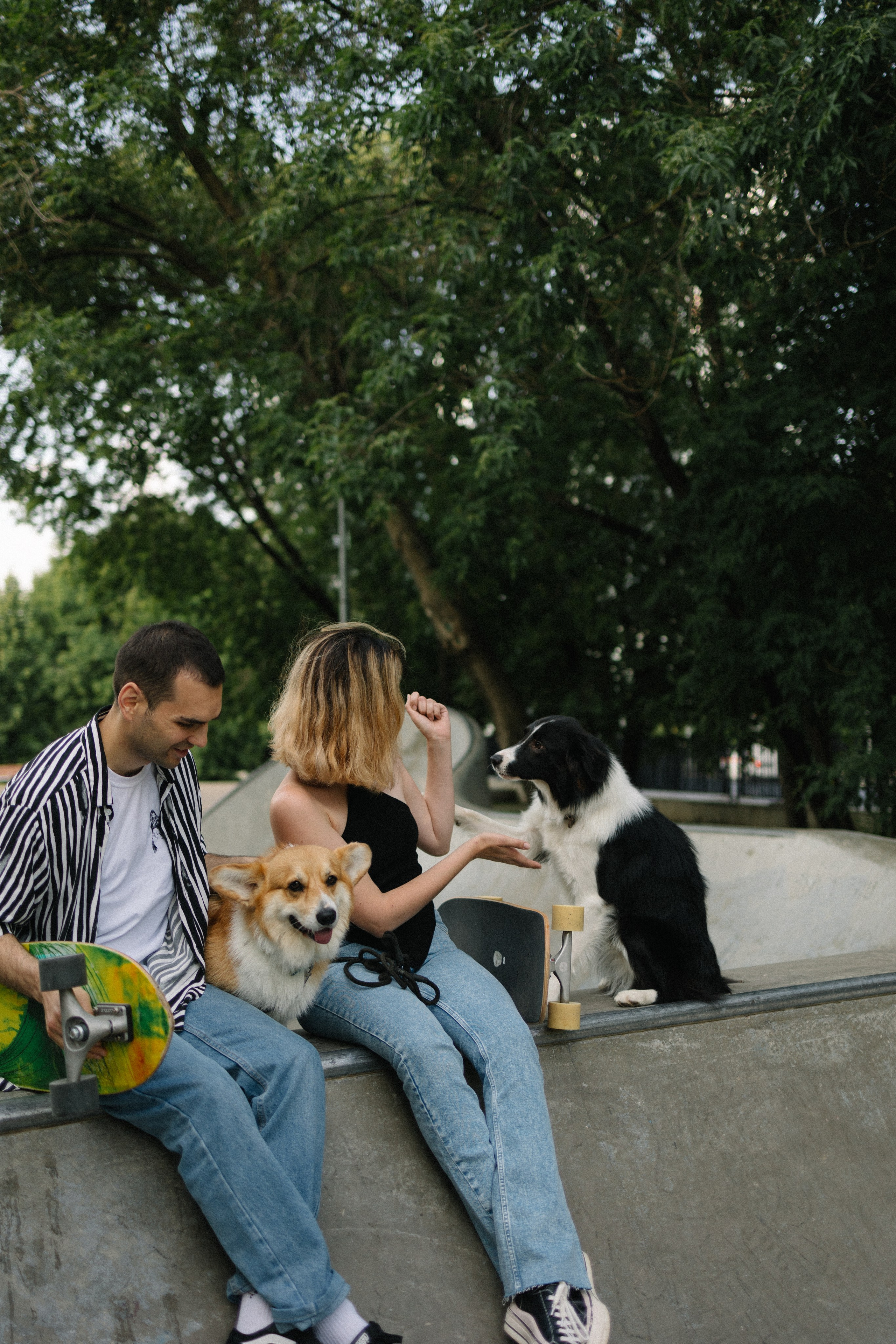 Брюс, Вейв и их ро. Фотораф — анималист Мария Шистка