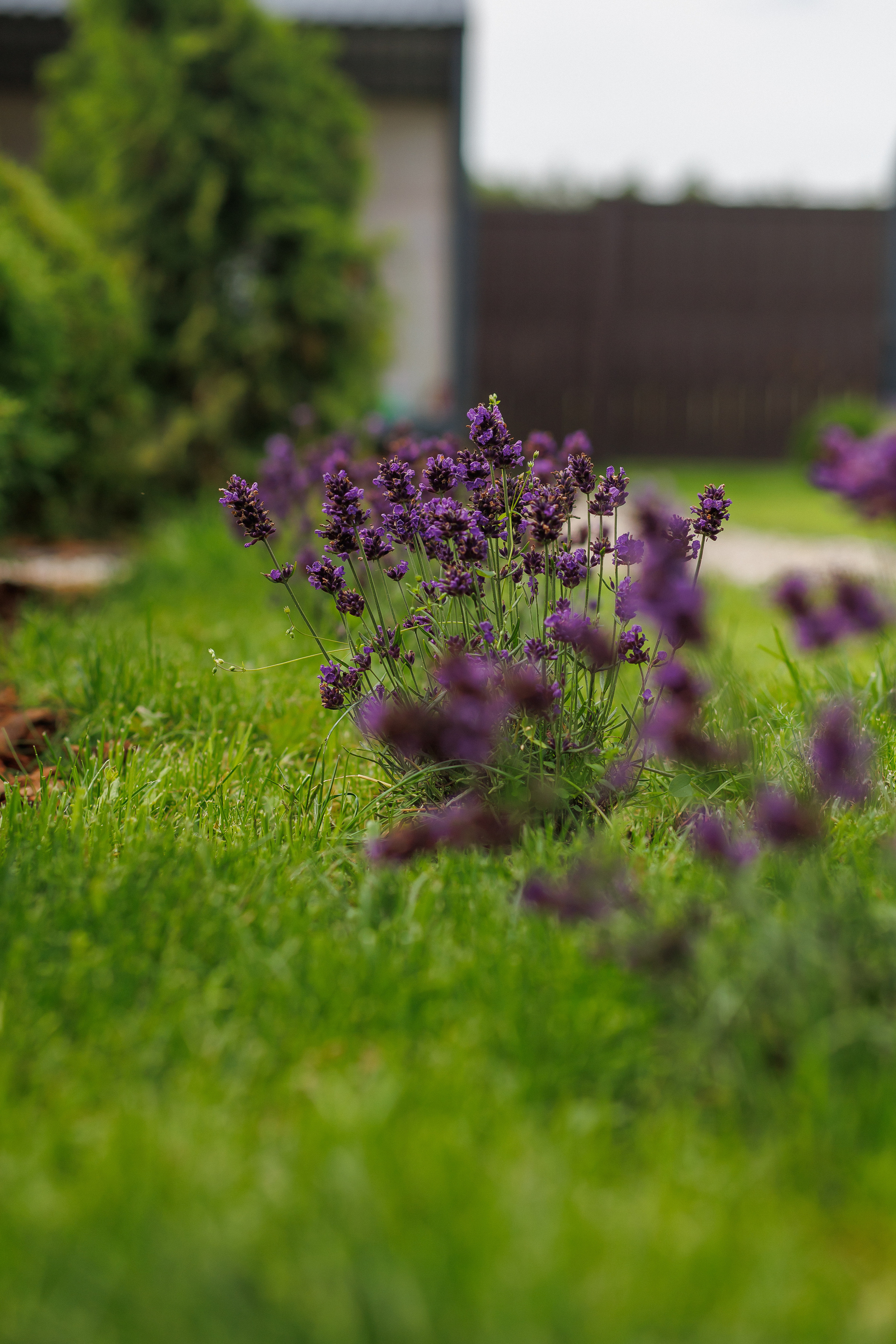 КОНТЕНТ-СЪЕМКА: НЕДВИЖИМОСТЬ. Контент-фотограф в Санкт-Петербурге Александра Бородина