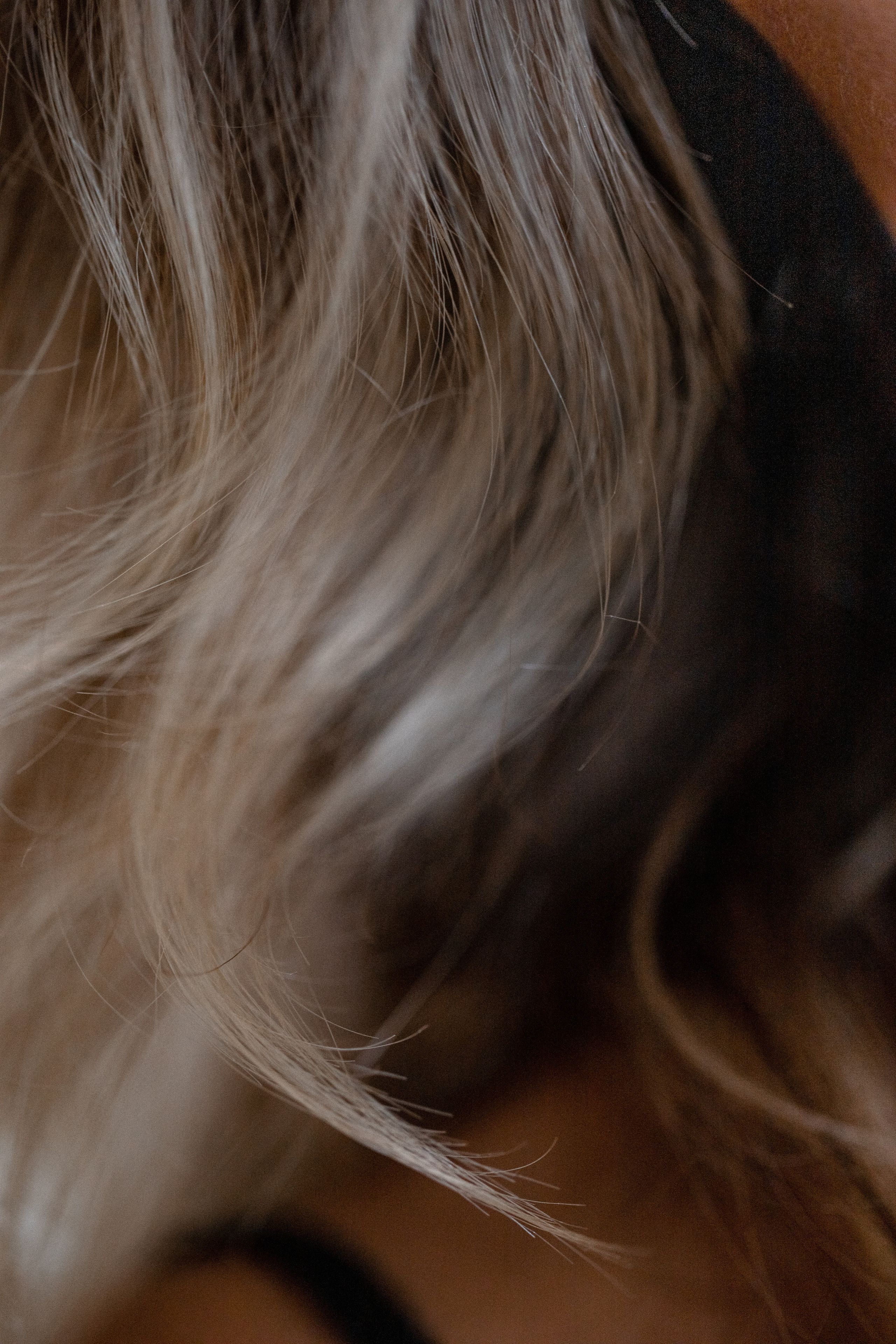 ПОРТРЕТ. Контент-фотограф в Санкт-Петербурге Александра Бородина