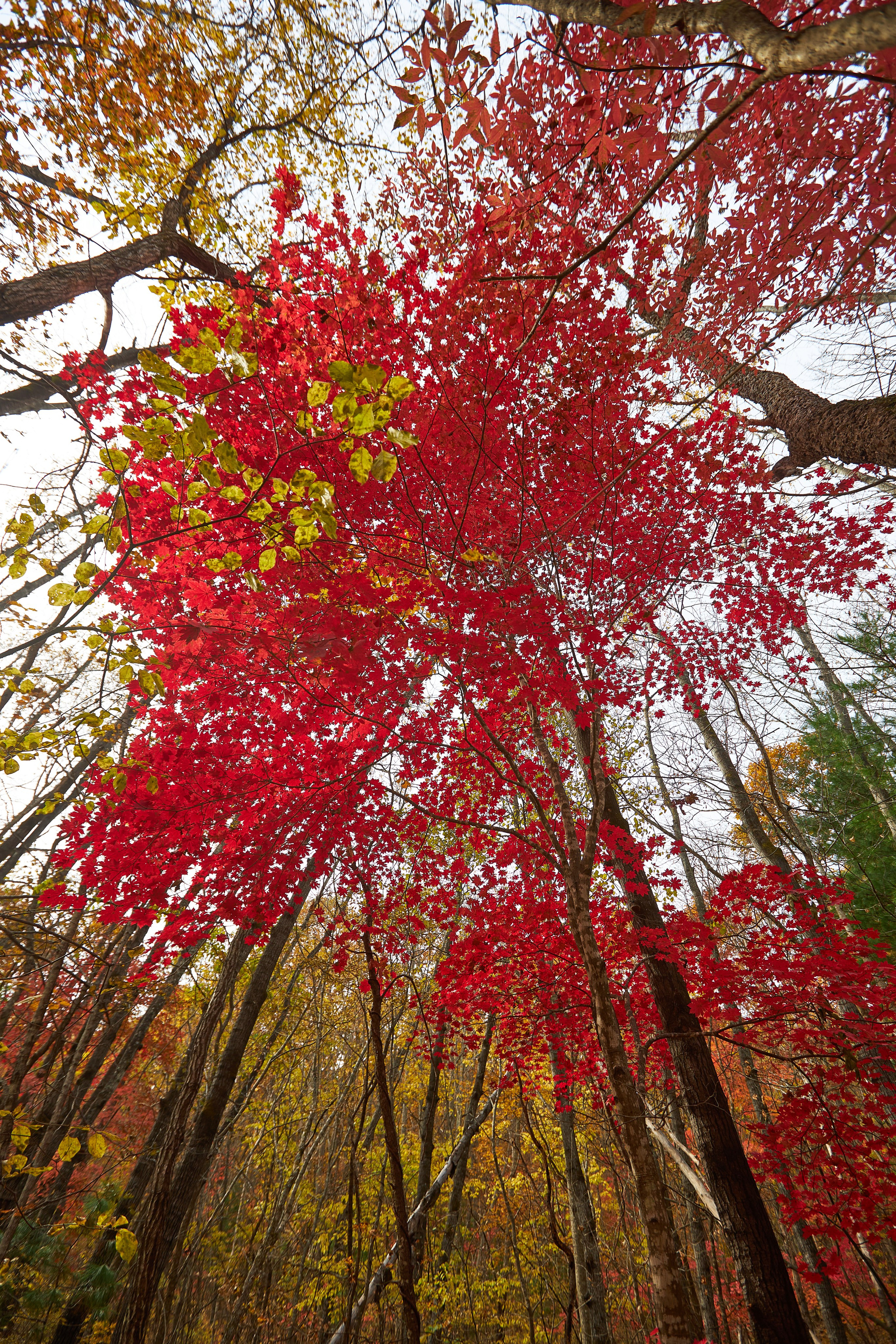 Пейзаж. Репортажный Фотограф во Владивостоке и России Осипчук Дмитрий