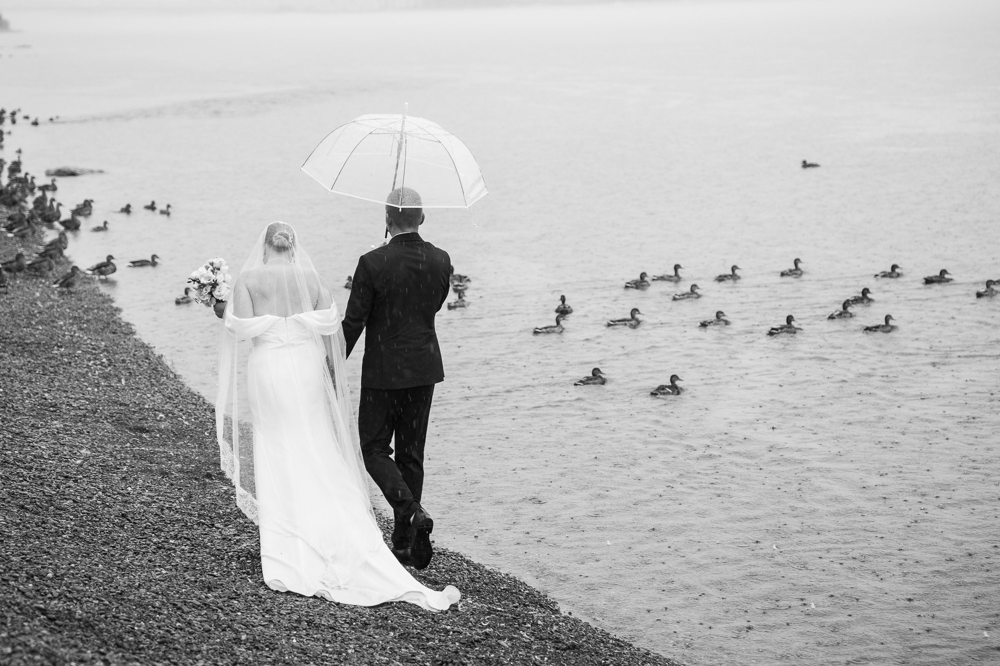 Ирина и Максим. Фотограф в Красноярске. Юлия Чаушанская