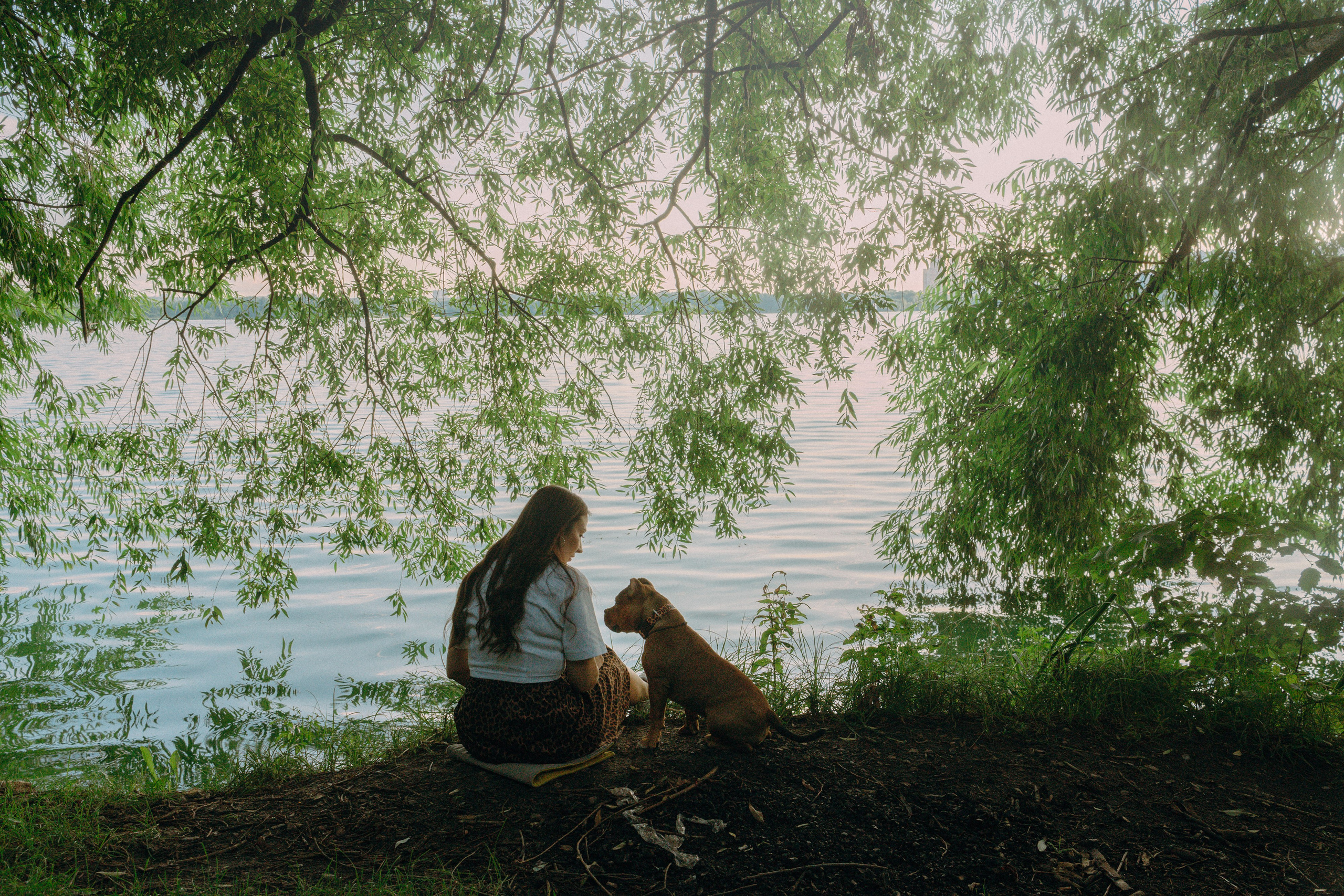 Кристина и Эфи. Фотограф анималист в Москве и Санкт-Петербурге Свиридова Анна