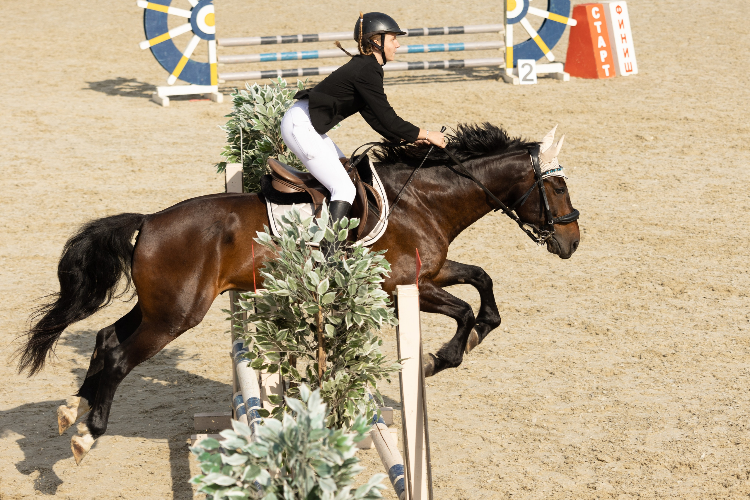 Соревнования по конкуру. Фотограф в Москве Светлана Богначева