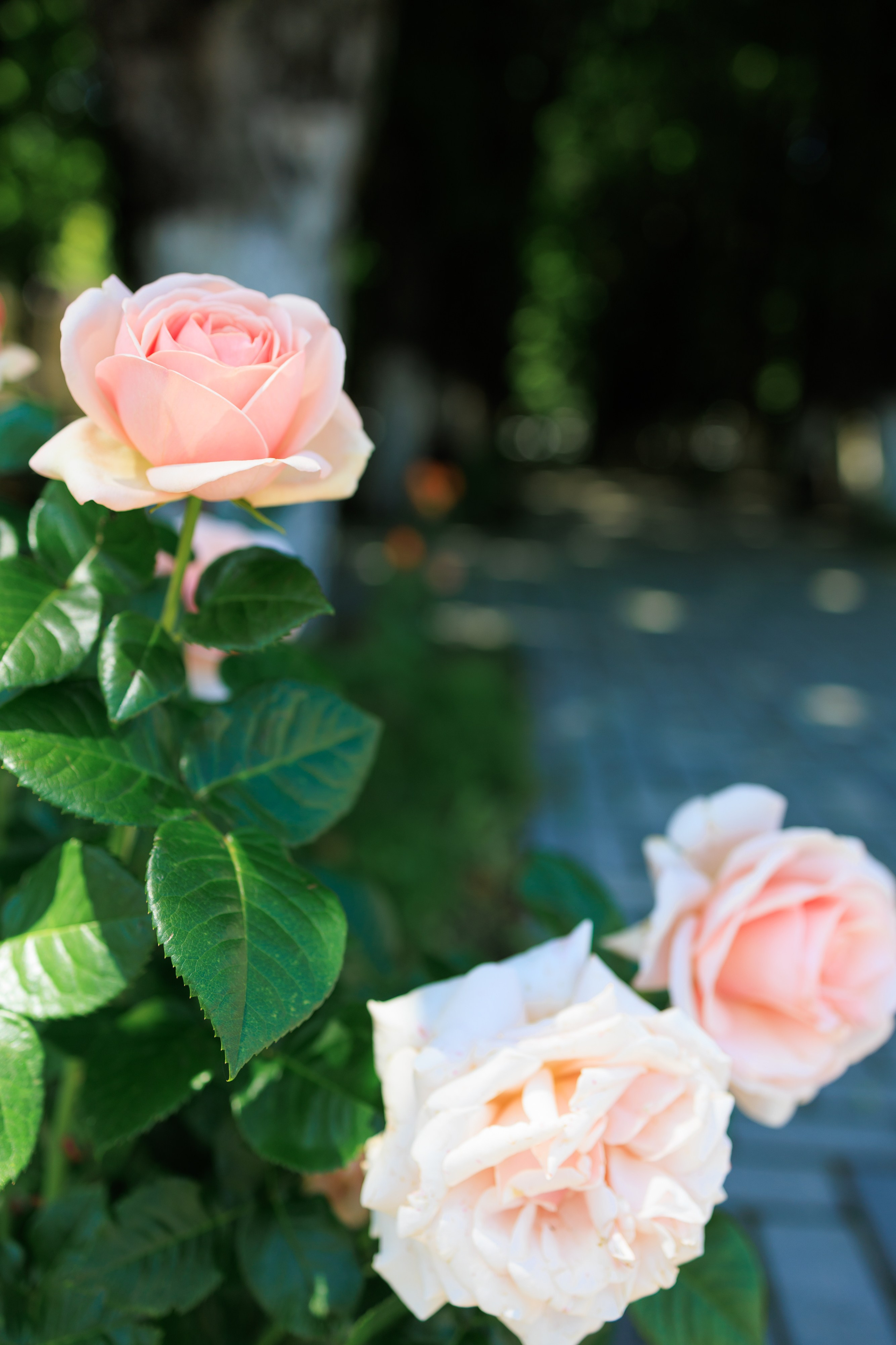 Фотосъёмка таинства крещения и крестин в городах Я фотограф снимающий венчания в городах Минеральные Воды, Пятигорск, Кисловодск, Ессентуки,. Репортажный и свадебный фотограф Пятигорск и КМВ