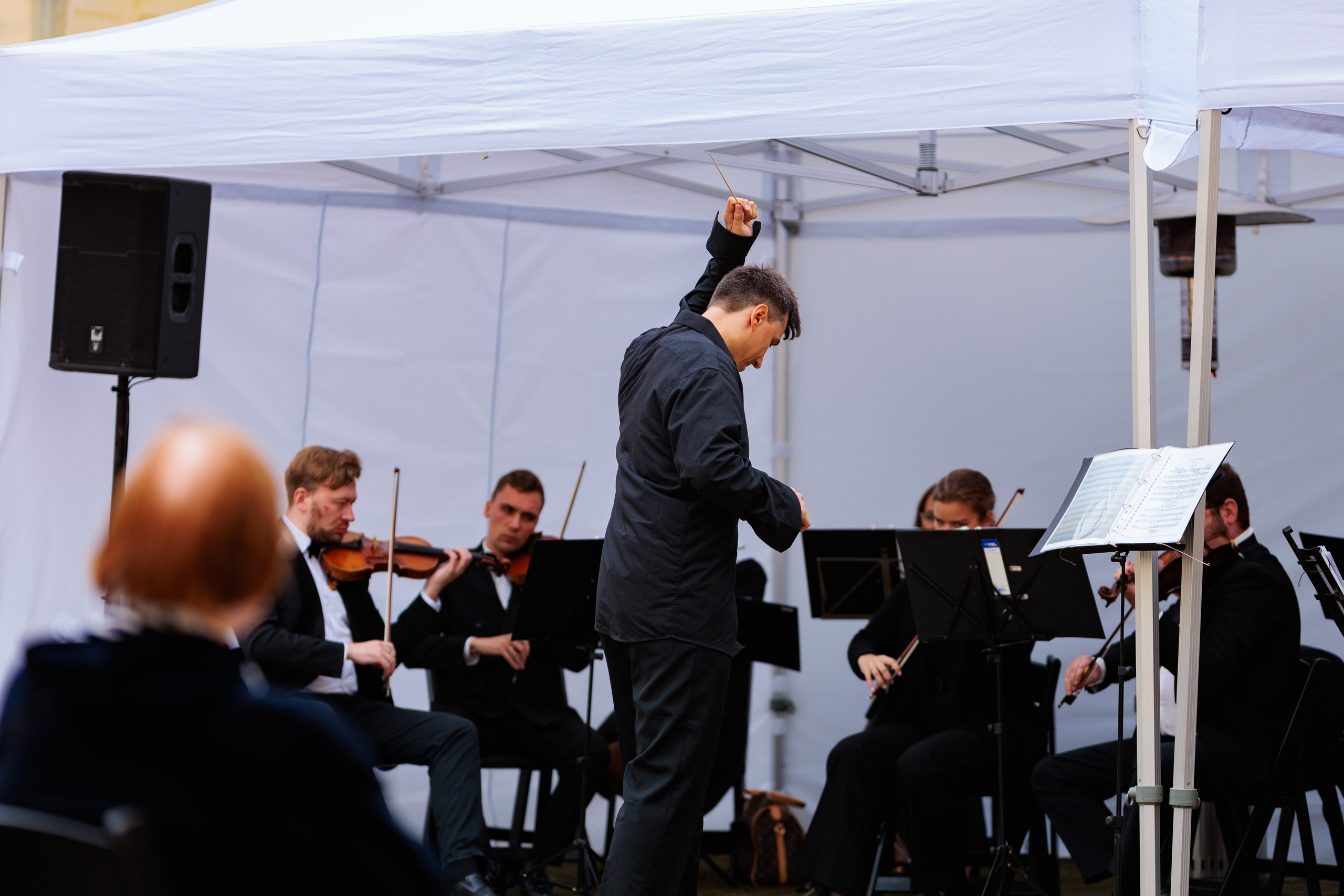 Концерт малого симфонического оркестра. Репортажный фотограф Санкт-Петербург | Роман Карбышев