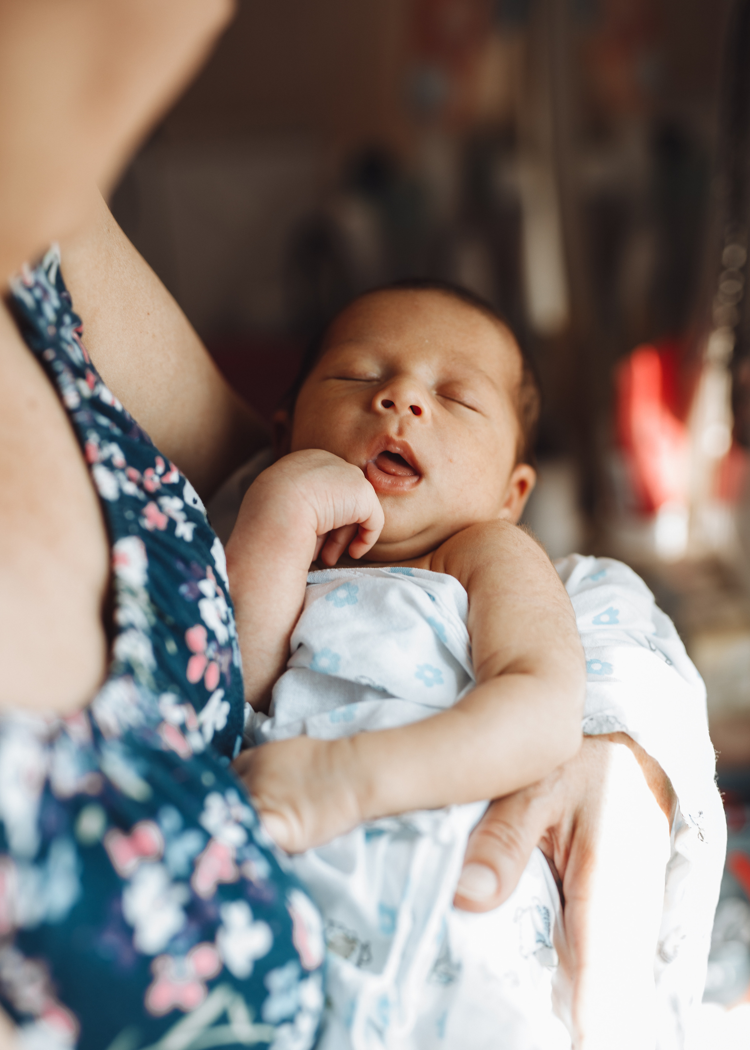 ARTEMYI&FAMILY. Фотограф Наташа Румянцева