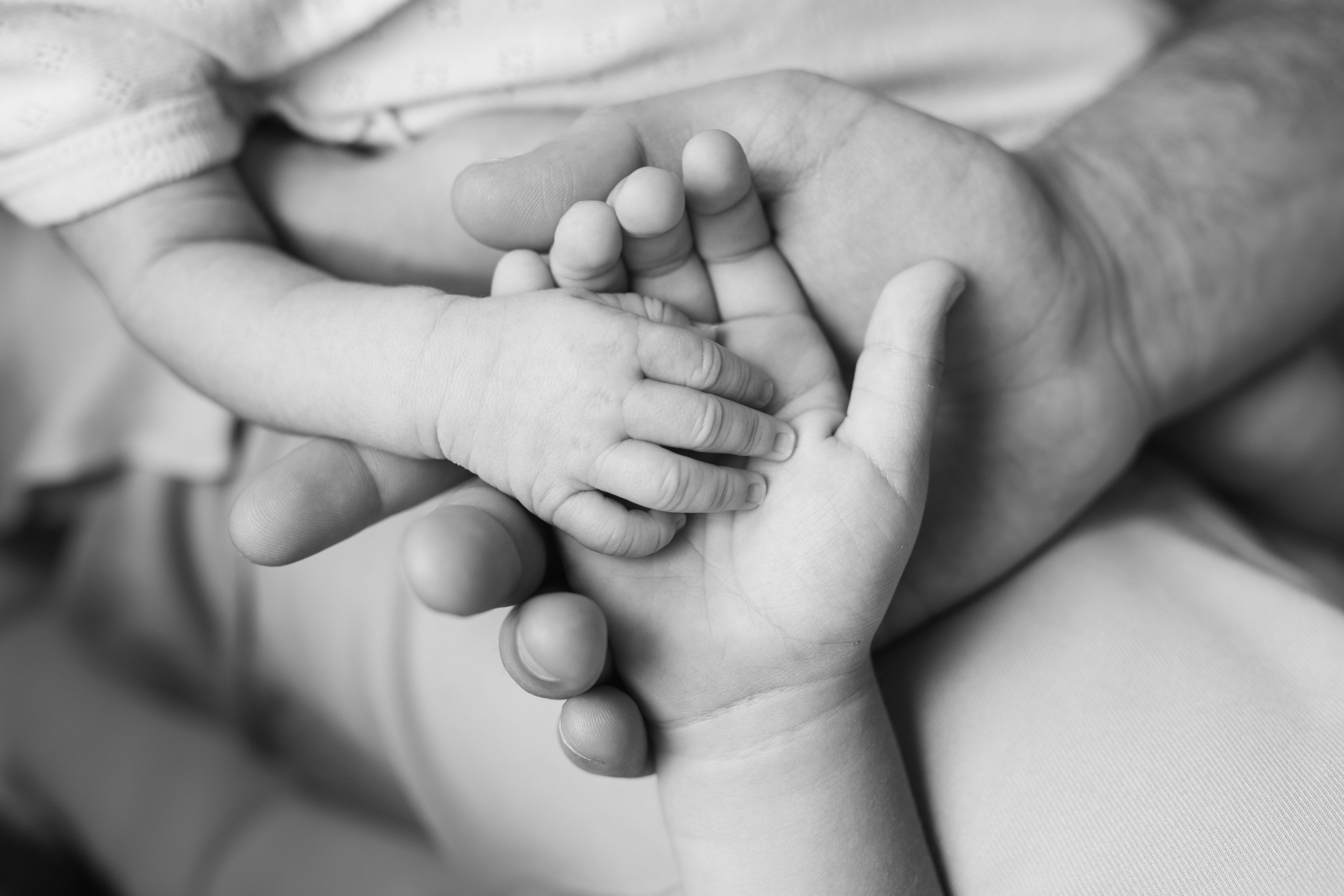 ARTEMYI&FAMILY. Фотограф Наташа Румянцева