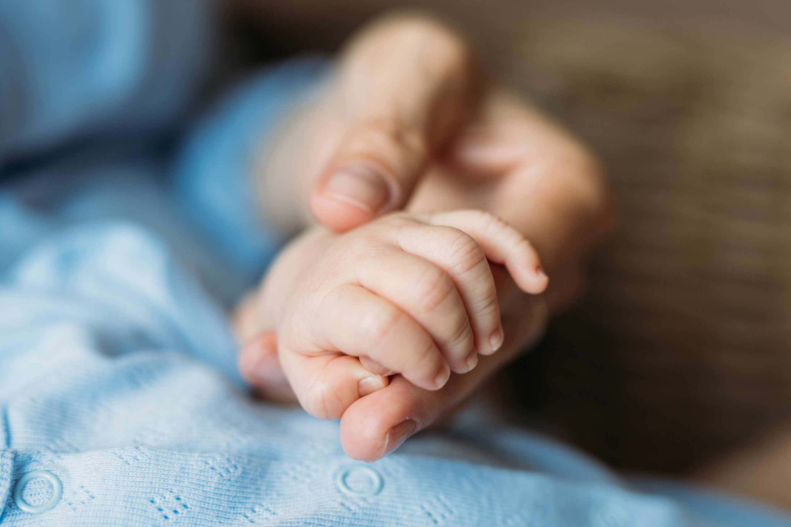 ARTEMYI&FAMILY. Фотограф Наташа Румянцева