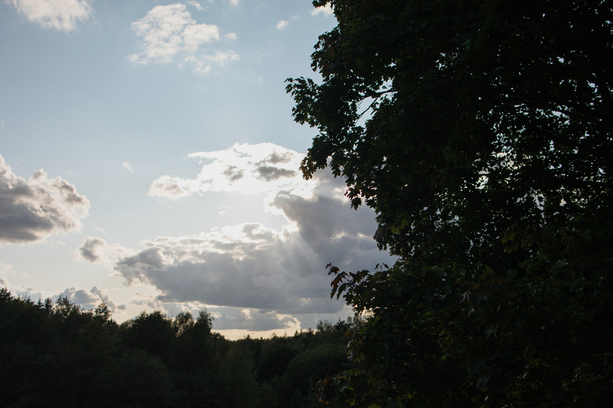 Дима & Катя | Усадьба «Янов Ясень». Свадебный фотограф в Минске Владислав Бабич