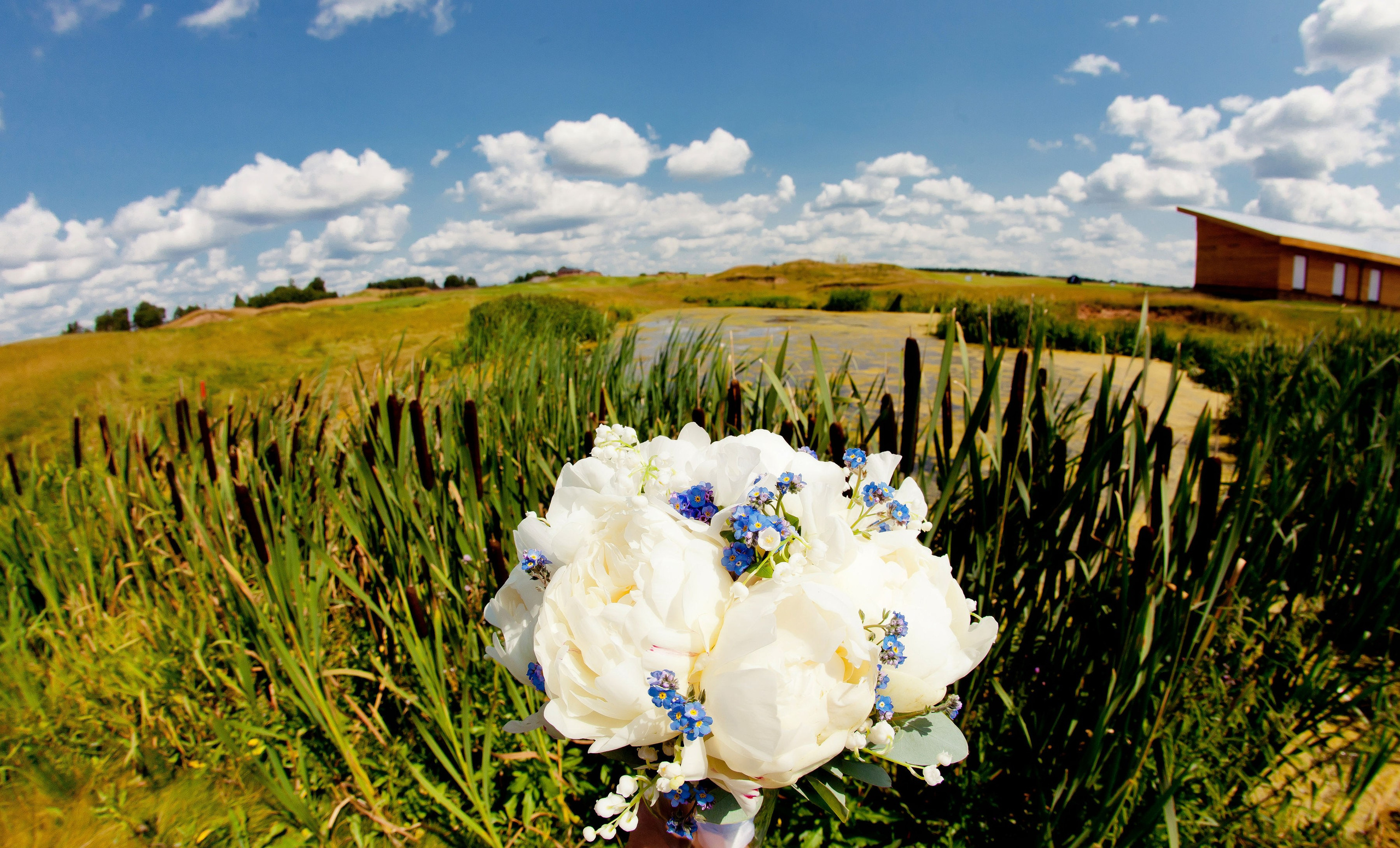 Свадьба Завидово. Фотограф Алексей Архангельский
