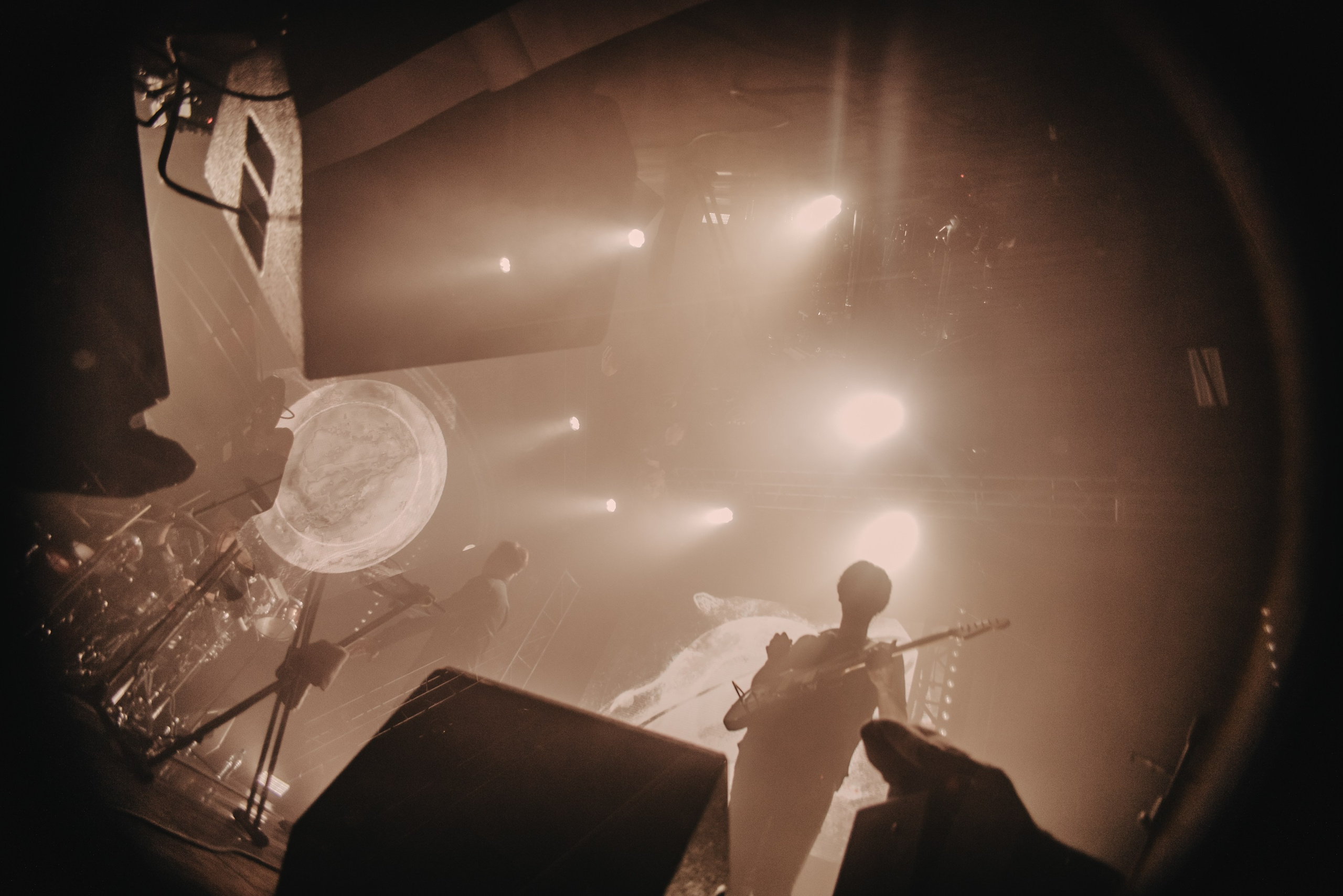 Дельфин | Gaudi. Контент фотограф Илья Урс