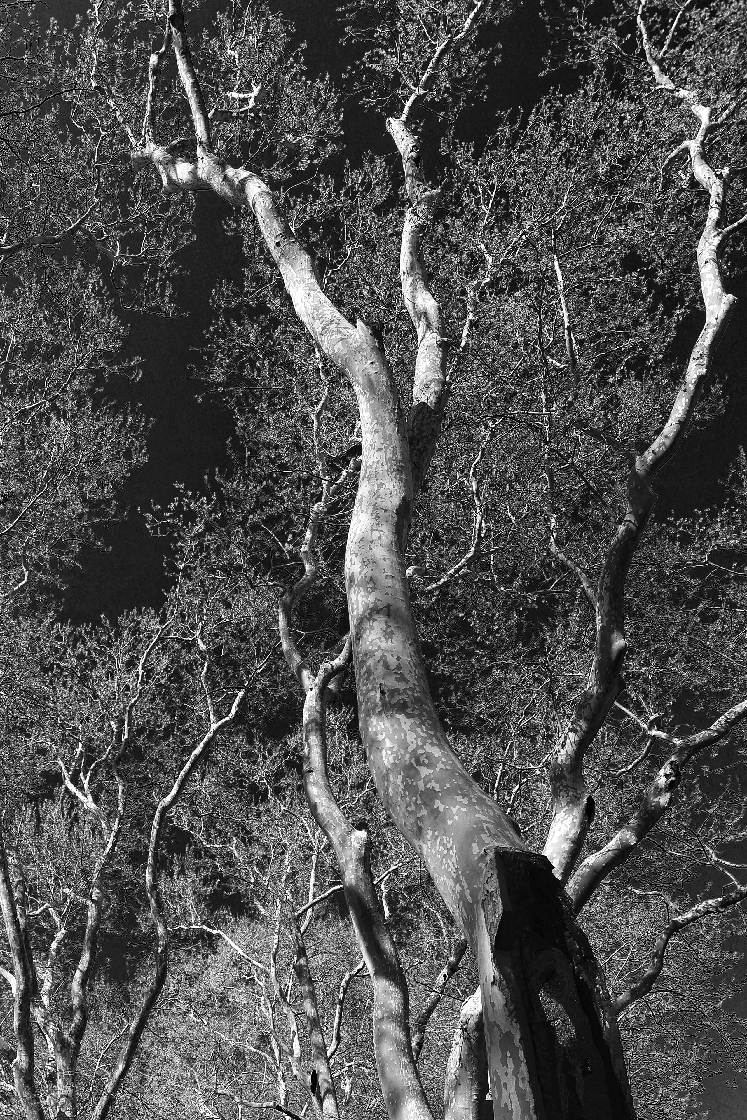 2025 год. Тащилин Сергей. Фотографии. Жизнь. Хобби