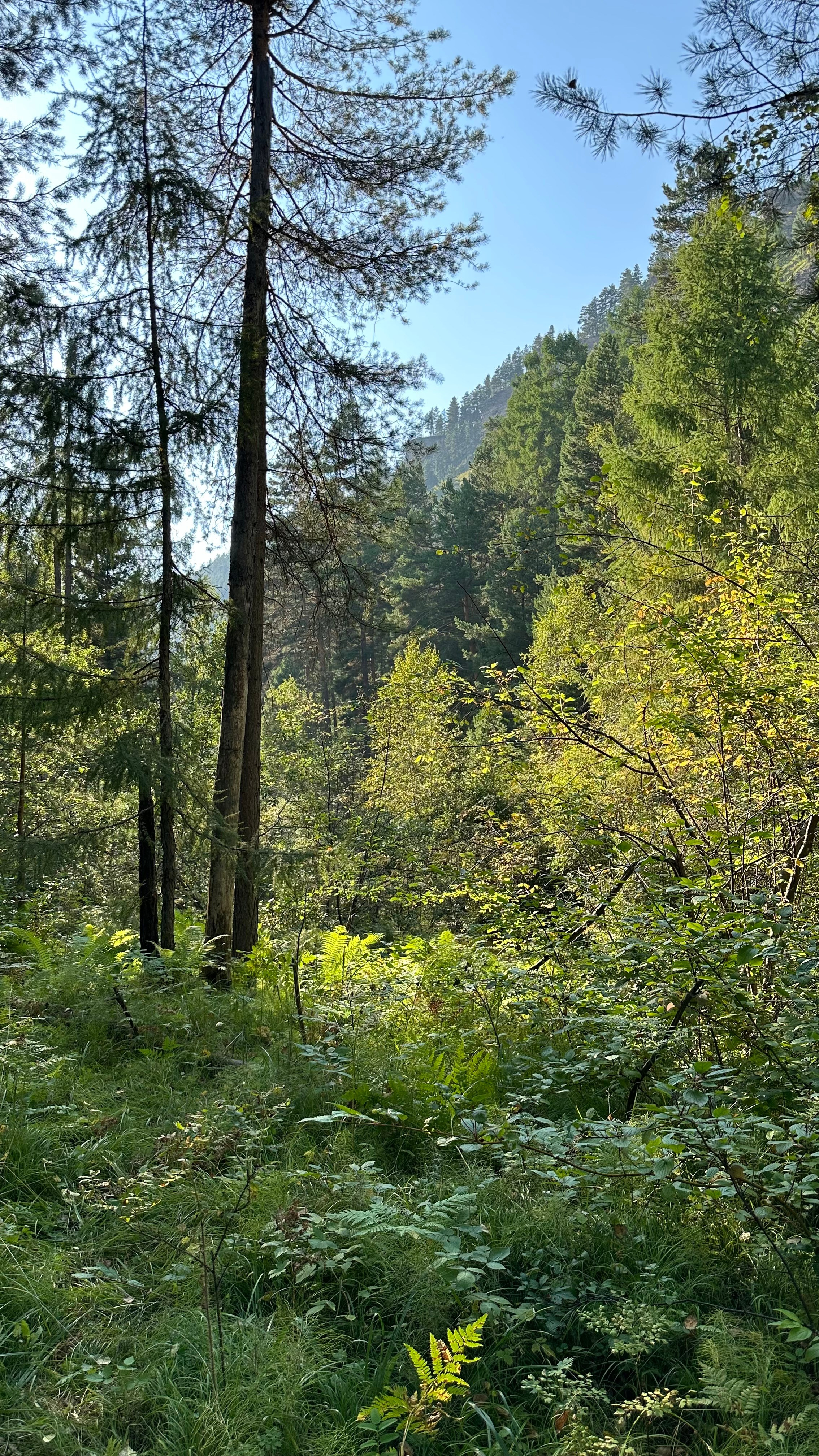 2024. Тащилин Сергей. Фотографии. Жизнь. Хобби