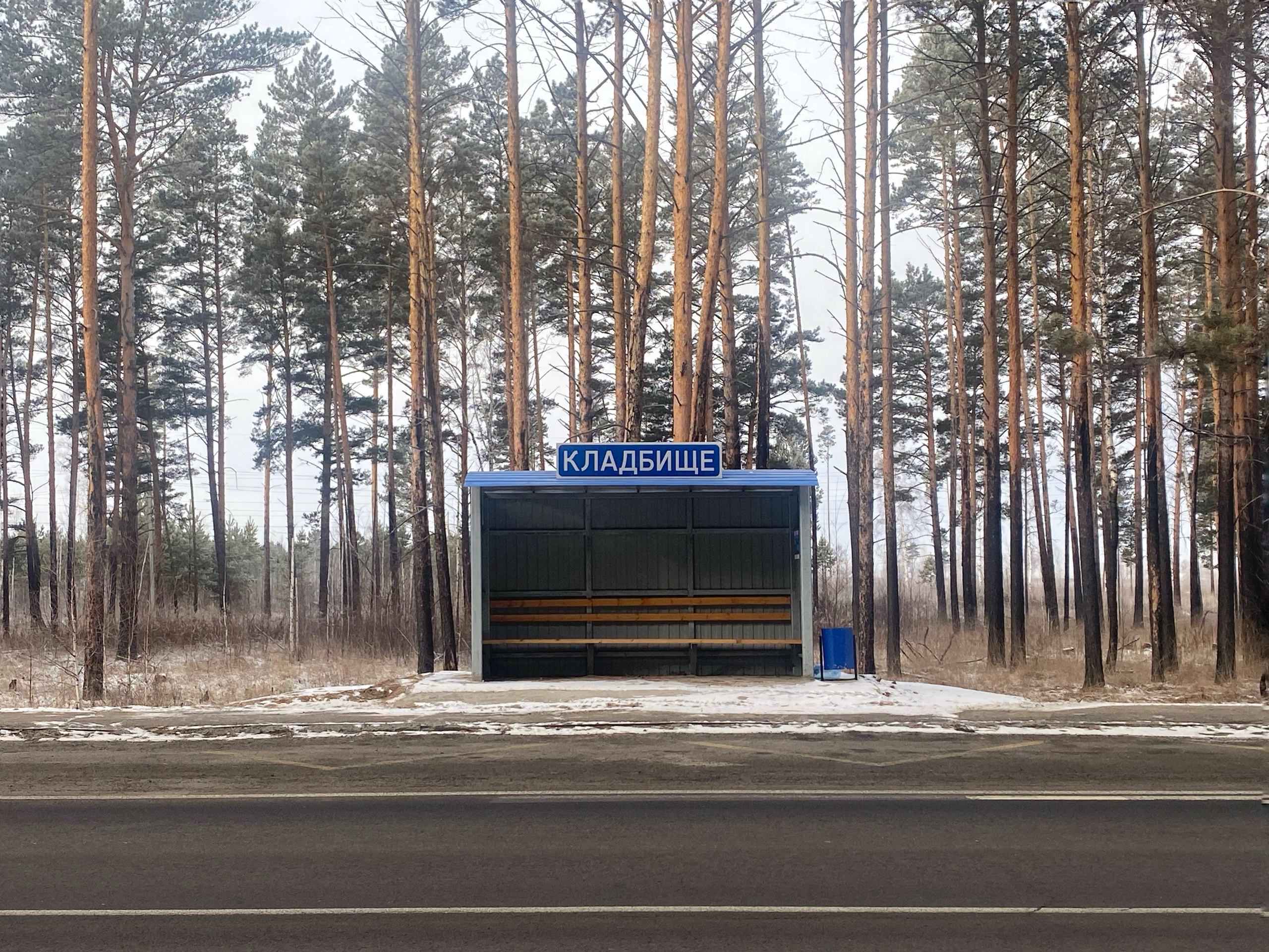 2024. Тащилин Сергей. Фотографии. Жизнь. Хобби