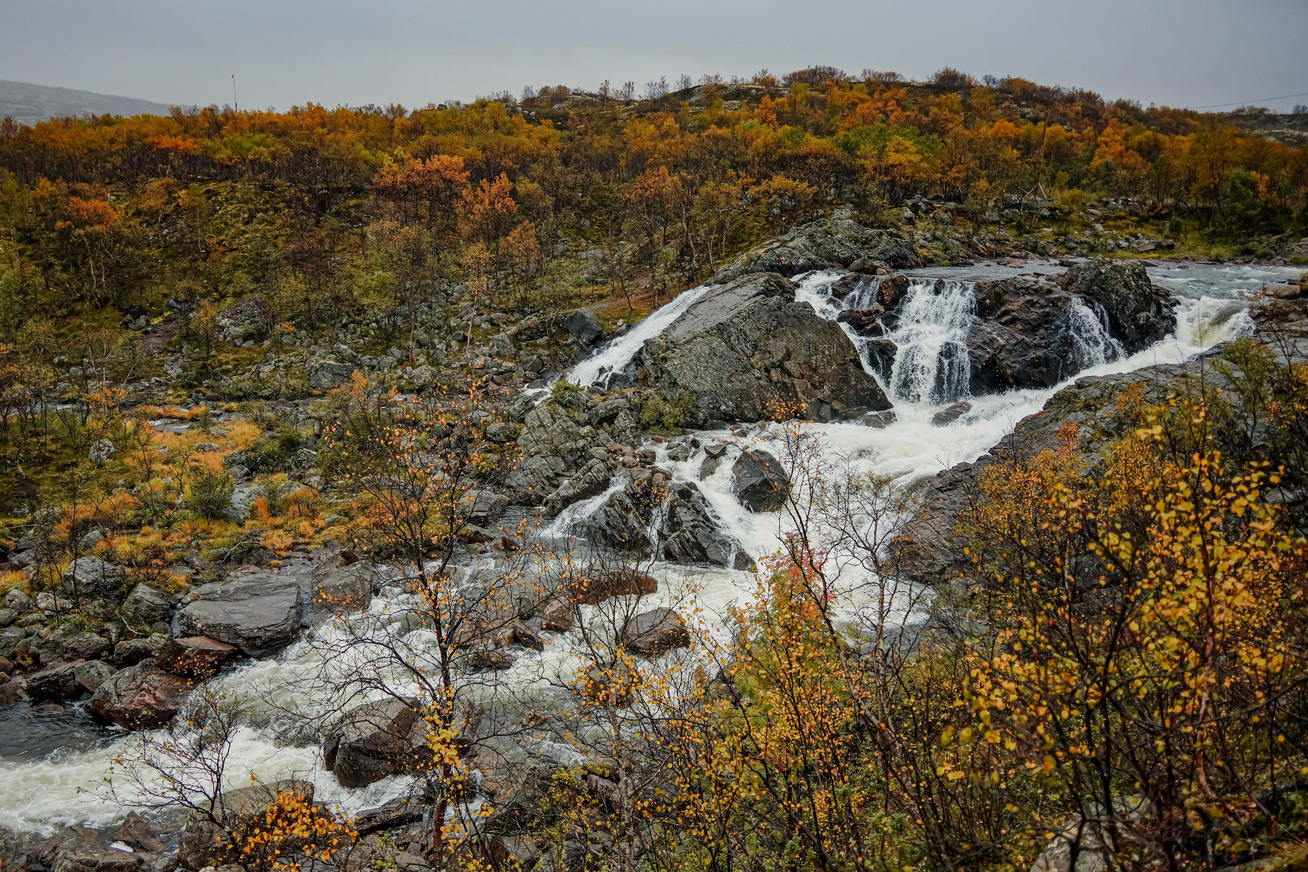 СЕВЕР. Event фотограф Степанова Александра