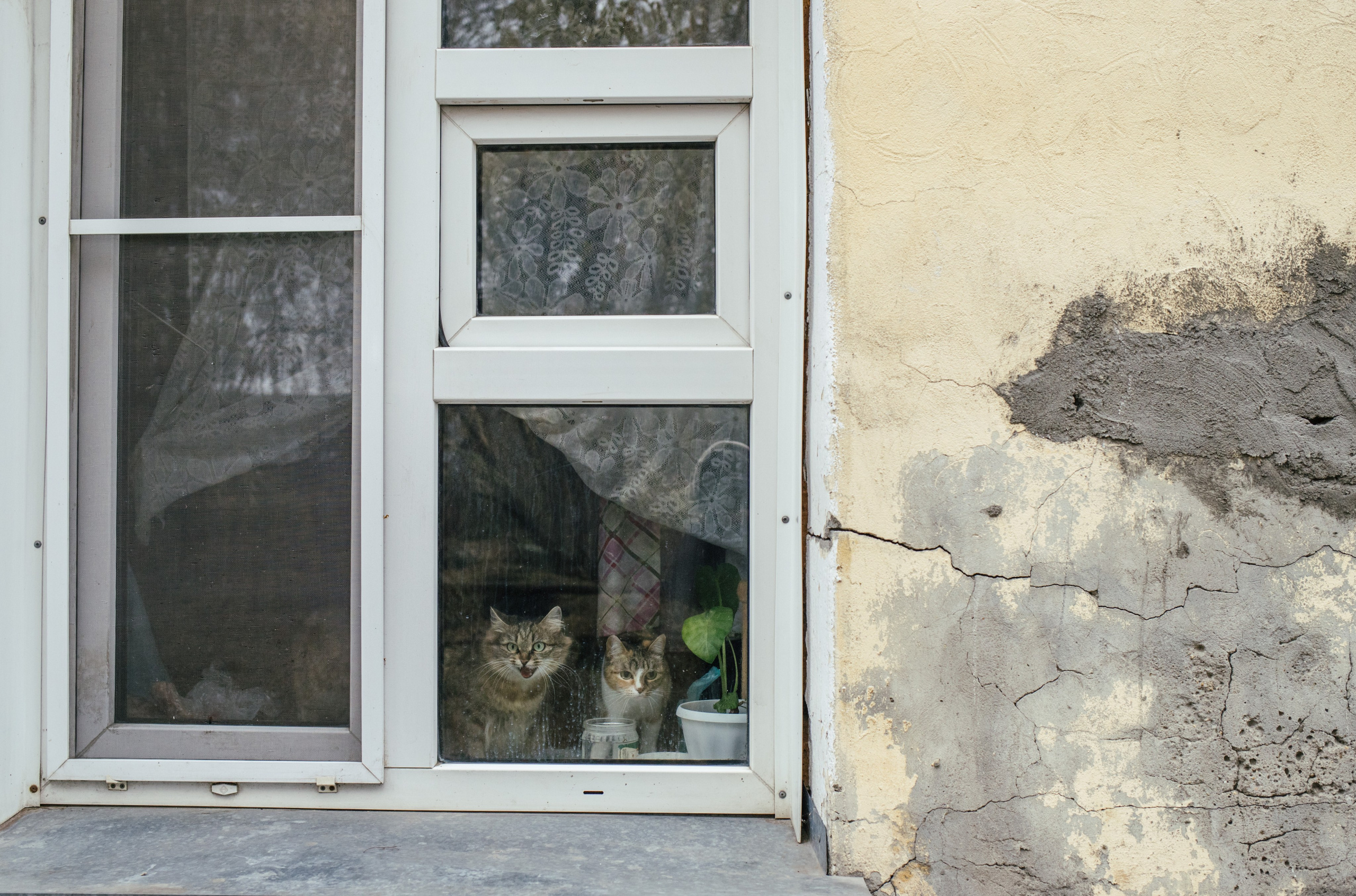 DOC. Photographer Alina Skitovich