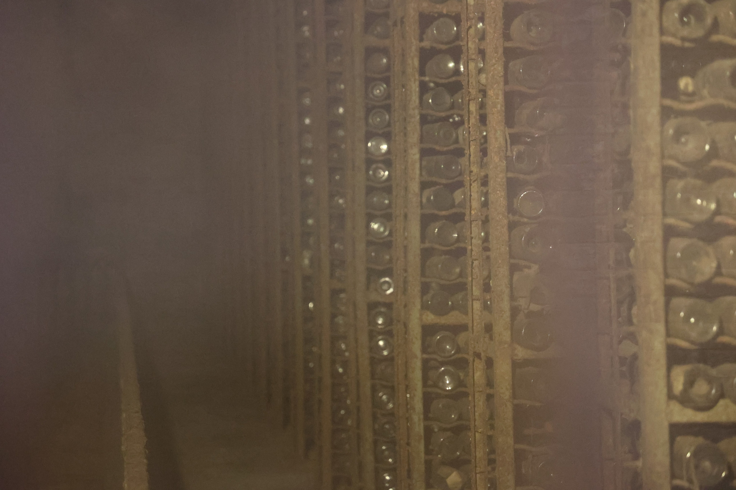 Любимое. Фотограф в Санкт-Петербурге Анна Сосновская