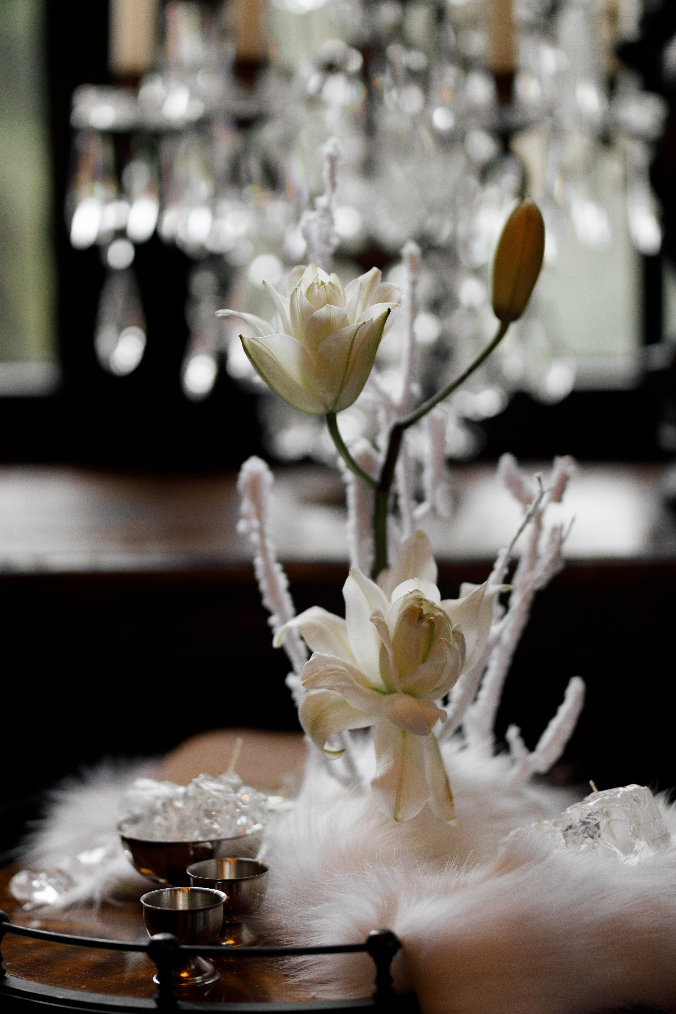 Зимняя сказка. Свадебный фотограф в Краснодаре Елизавета Горшенёва