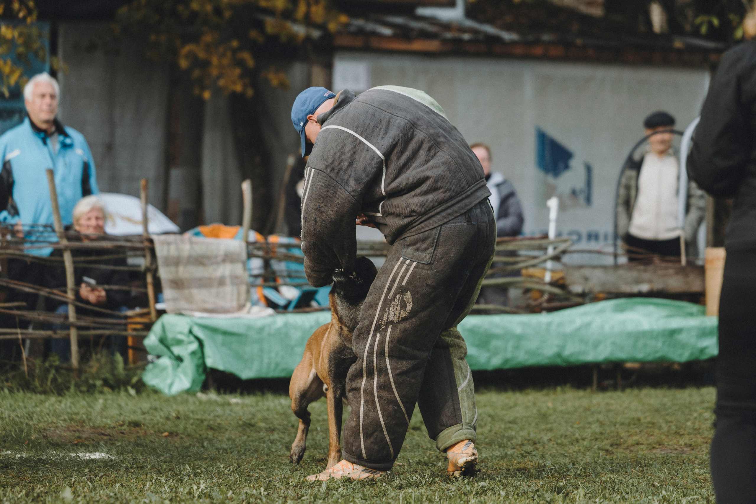Испытания по мондьорингу г. Пушкин 29.09.2024. Фотограф-анималист Анна Маринич