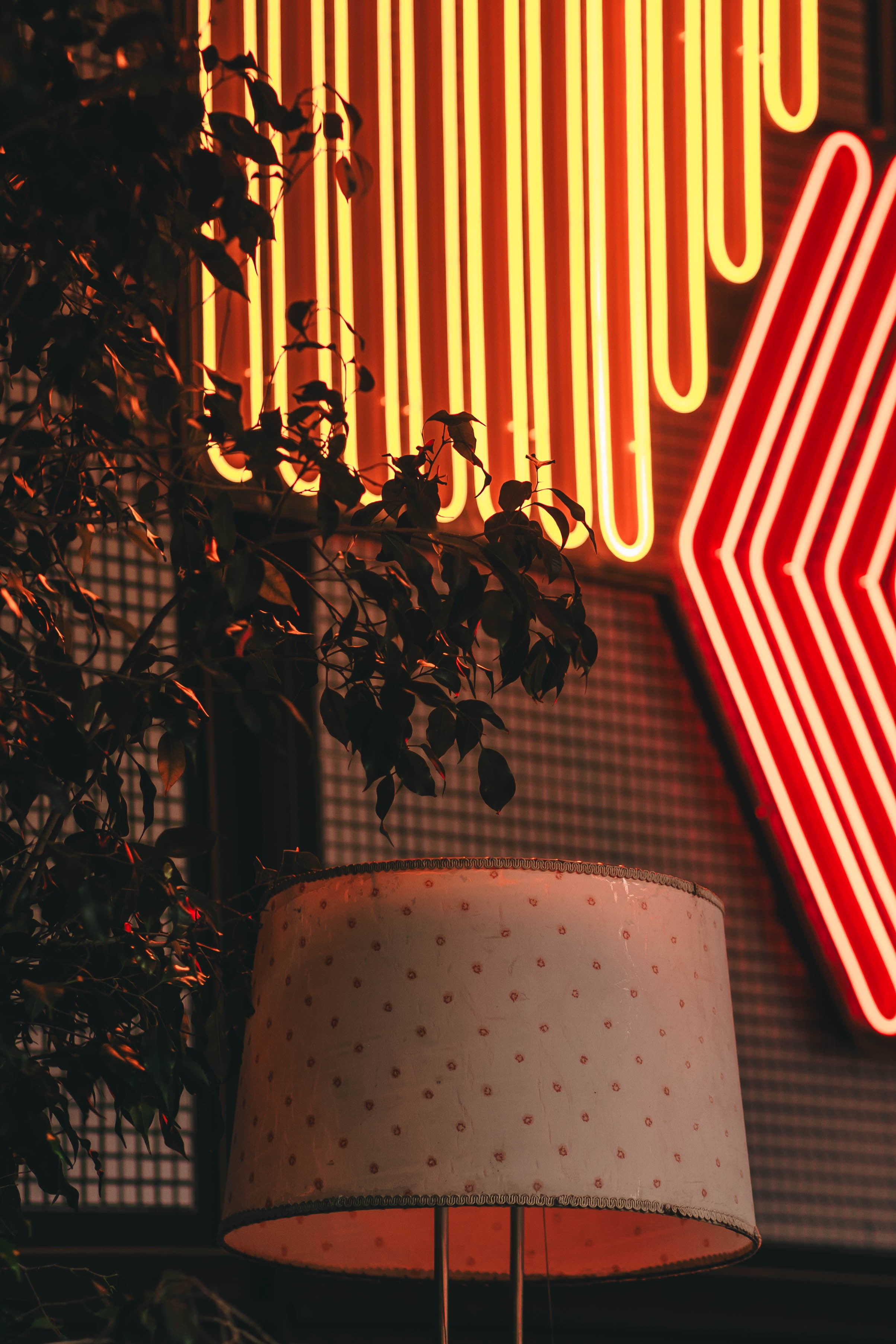 Pet-Party + Live-music |Парк Культуры. Фотограф в Ставрополе Алина Клочкова