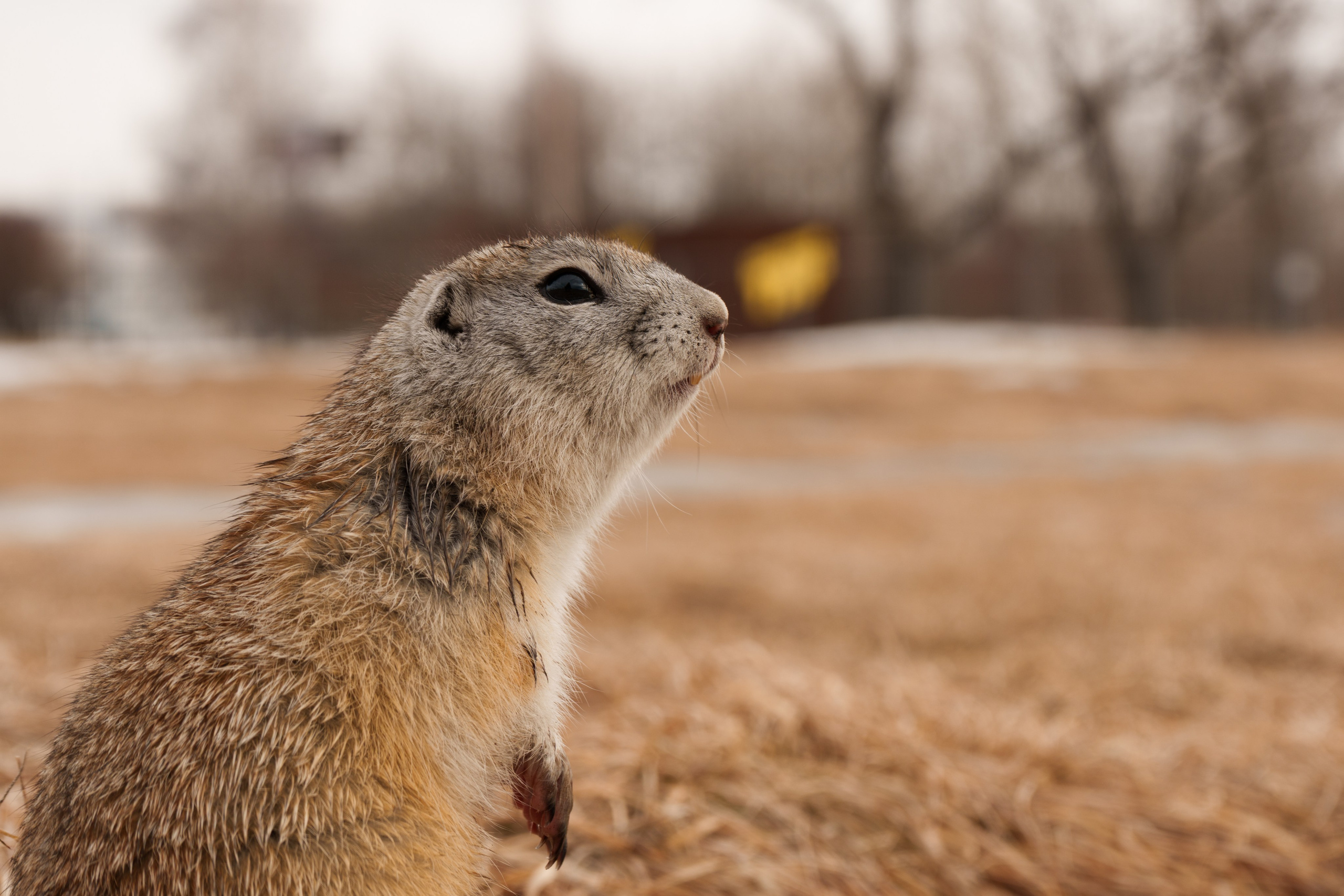 Авторское видение — Фотогалерея пейзажей и стрита | dsknar.ru. Донеал Скнарь — концертный фотограф