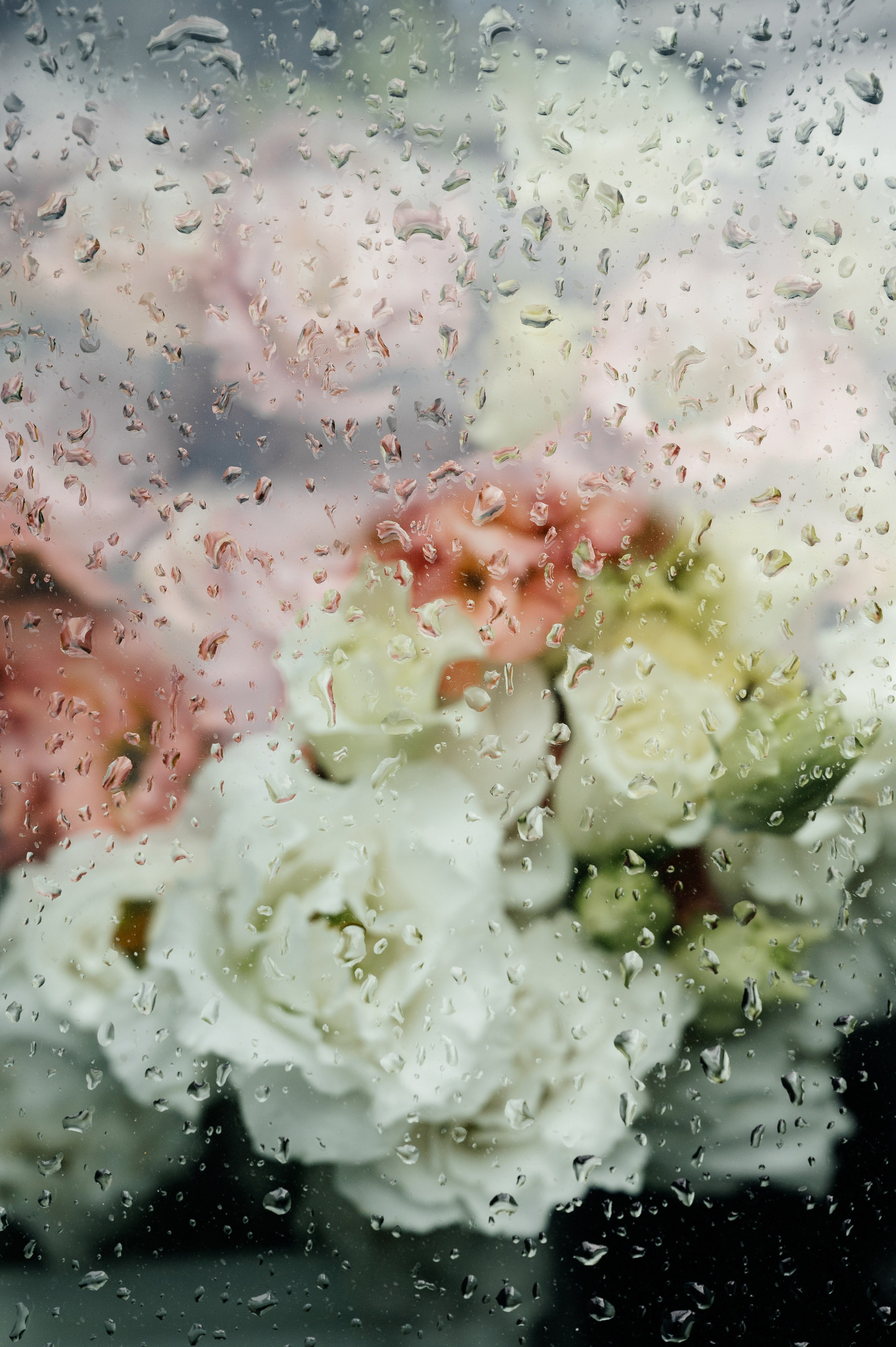 Wedding Romance and Anastasia. Wedding photographer in Moscow and around the world Andrey Medvednikov