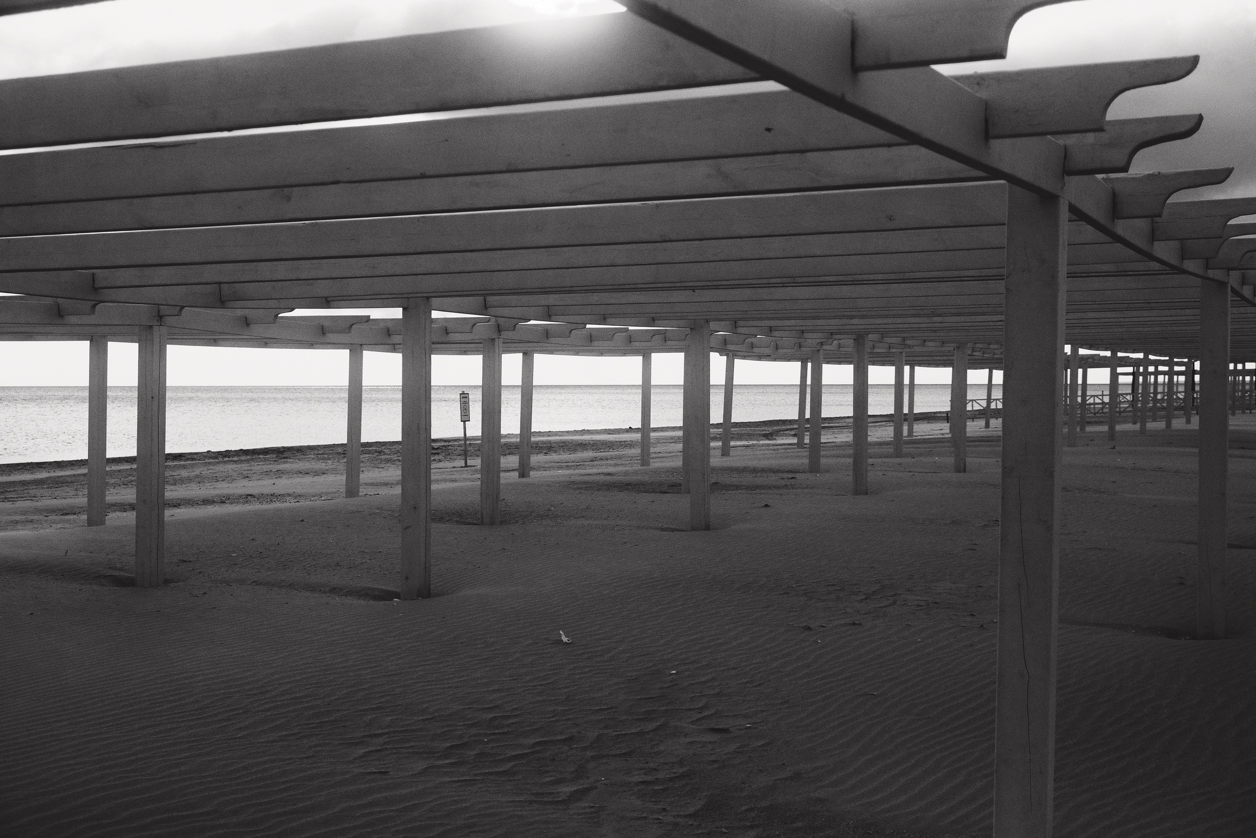 Проекты. Фотограф в Ростове-на-Дону