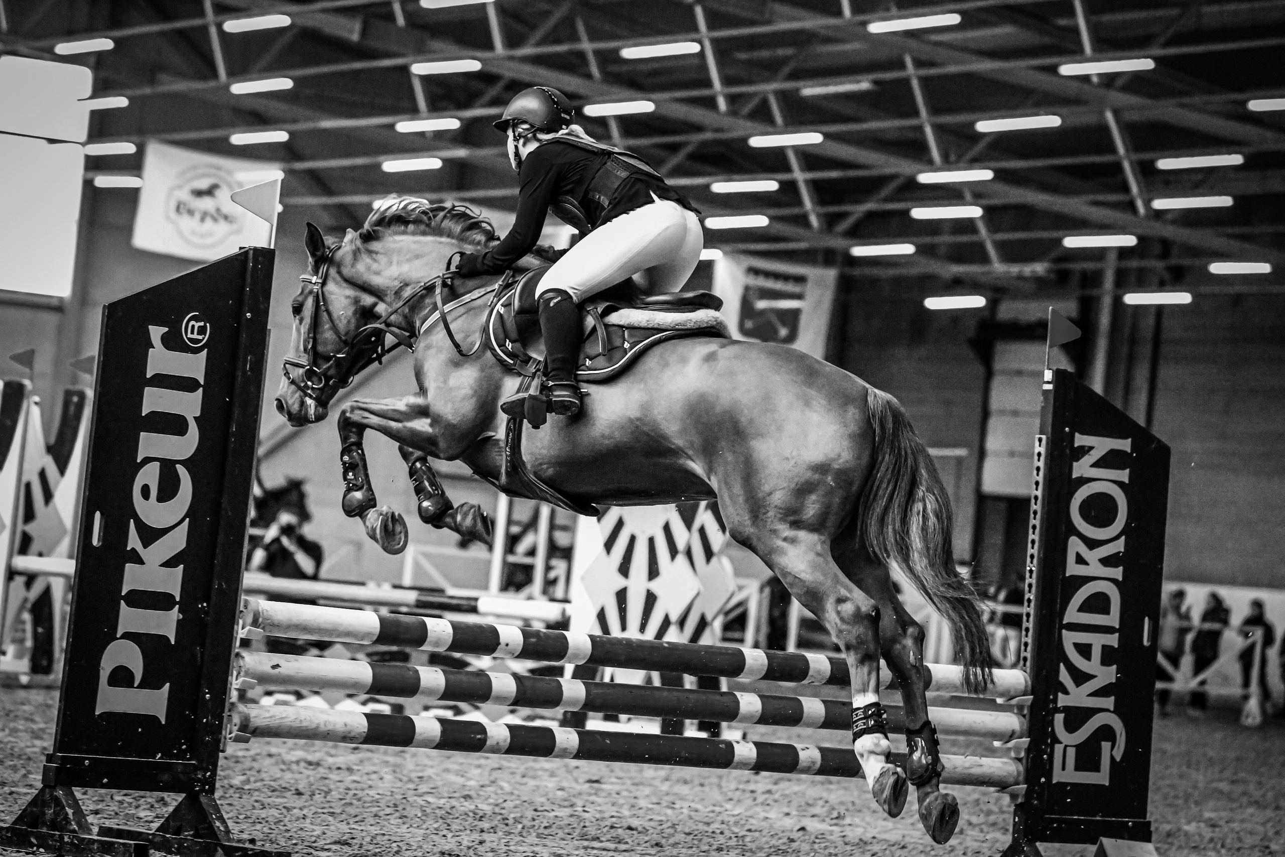 Портфолио Евы Демидовой. Ева Демидова. Спортсмен по конкуру в Санкт-Петербуре