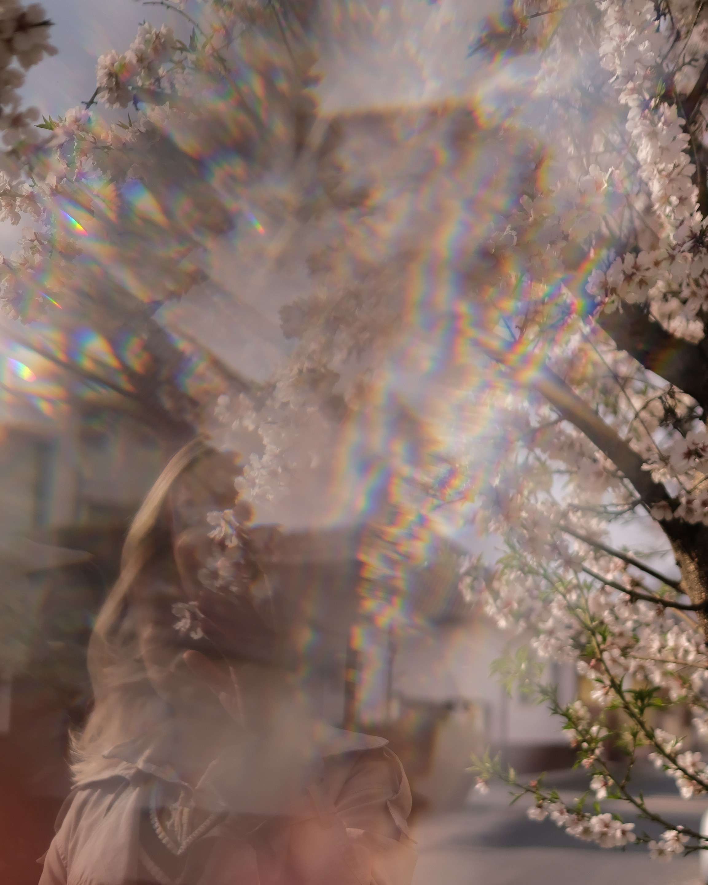 Elena. Blooming in Budapest. Portrait photographer Olga Prokopova based in Budapest