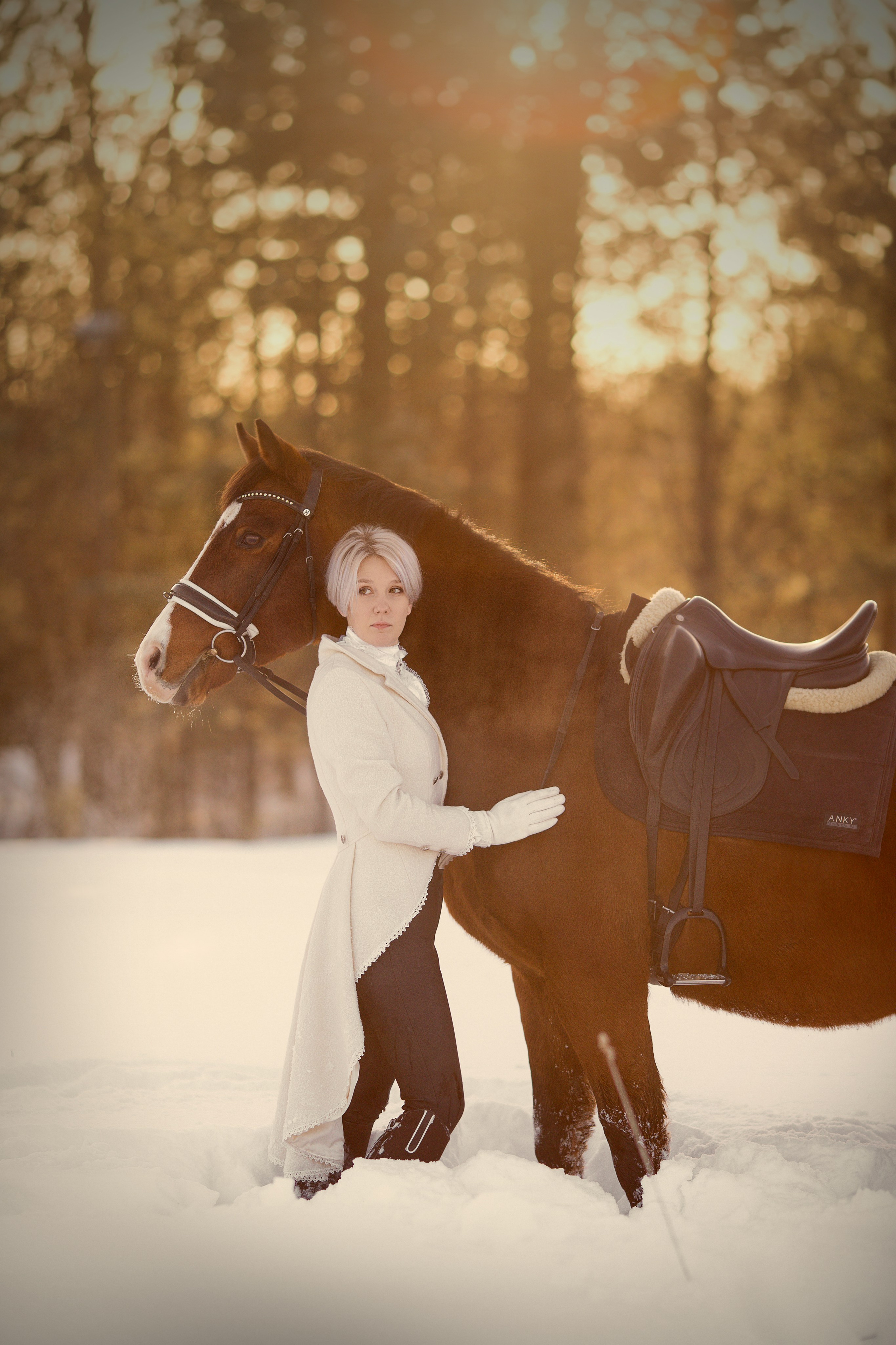 Фотосессия с лошадью зимой на фоне ёлок
