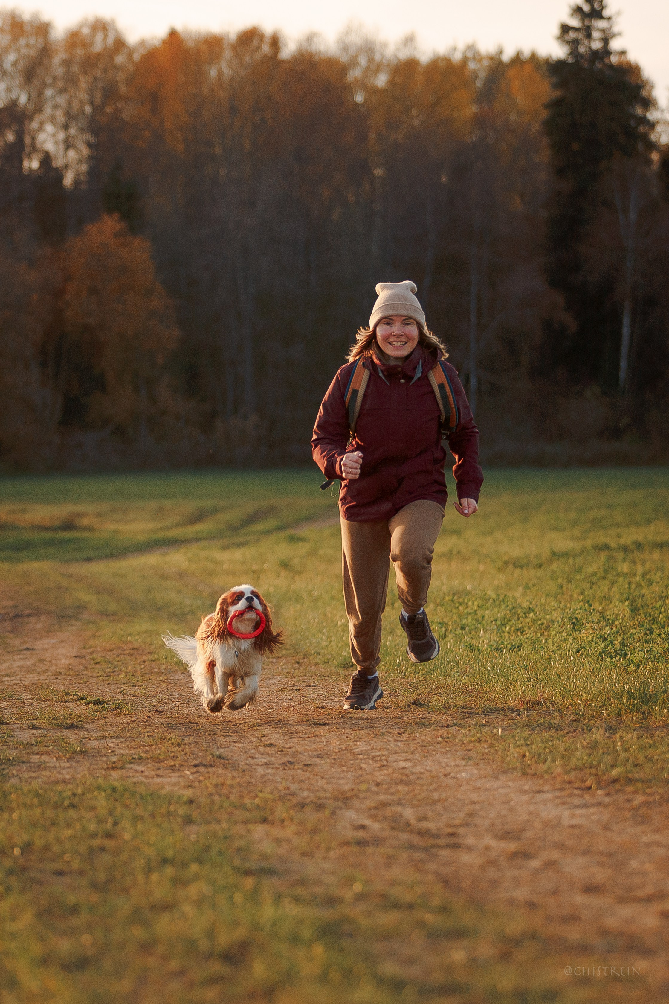 Октябрьский закат в полях. Алина и Лео. Фотограф-анималист Наталия Чистюхина в г. Сосновый Бор и ЛО